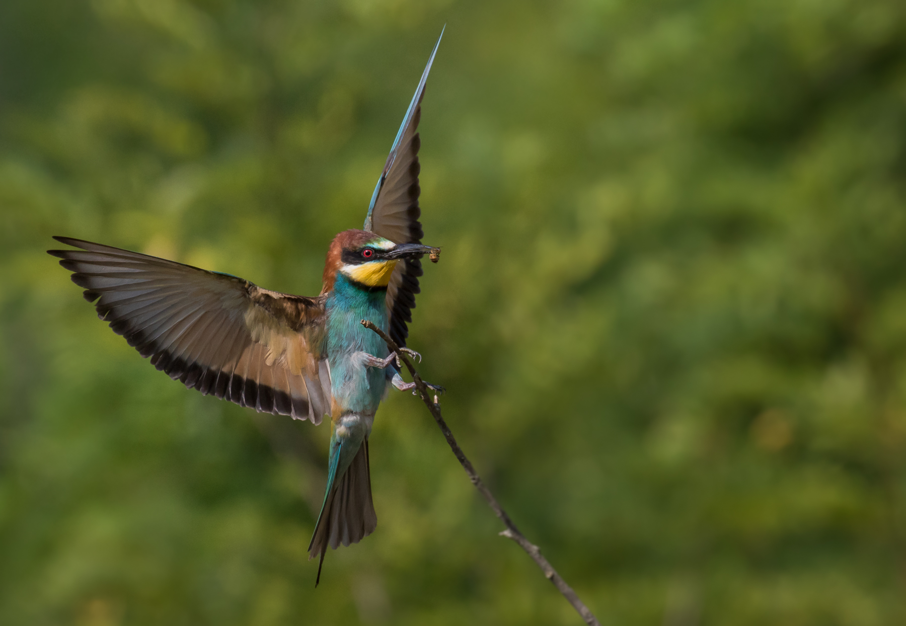 un atterraggio precario