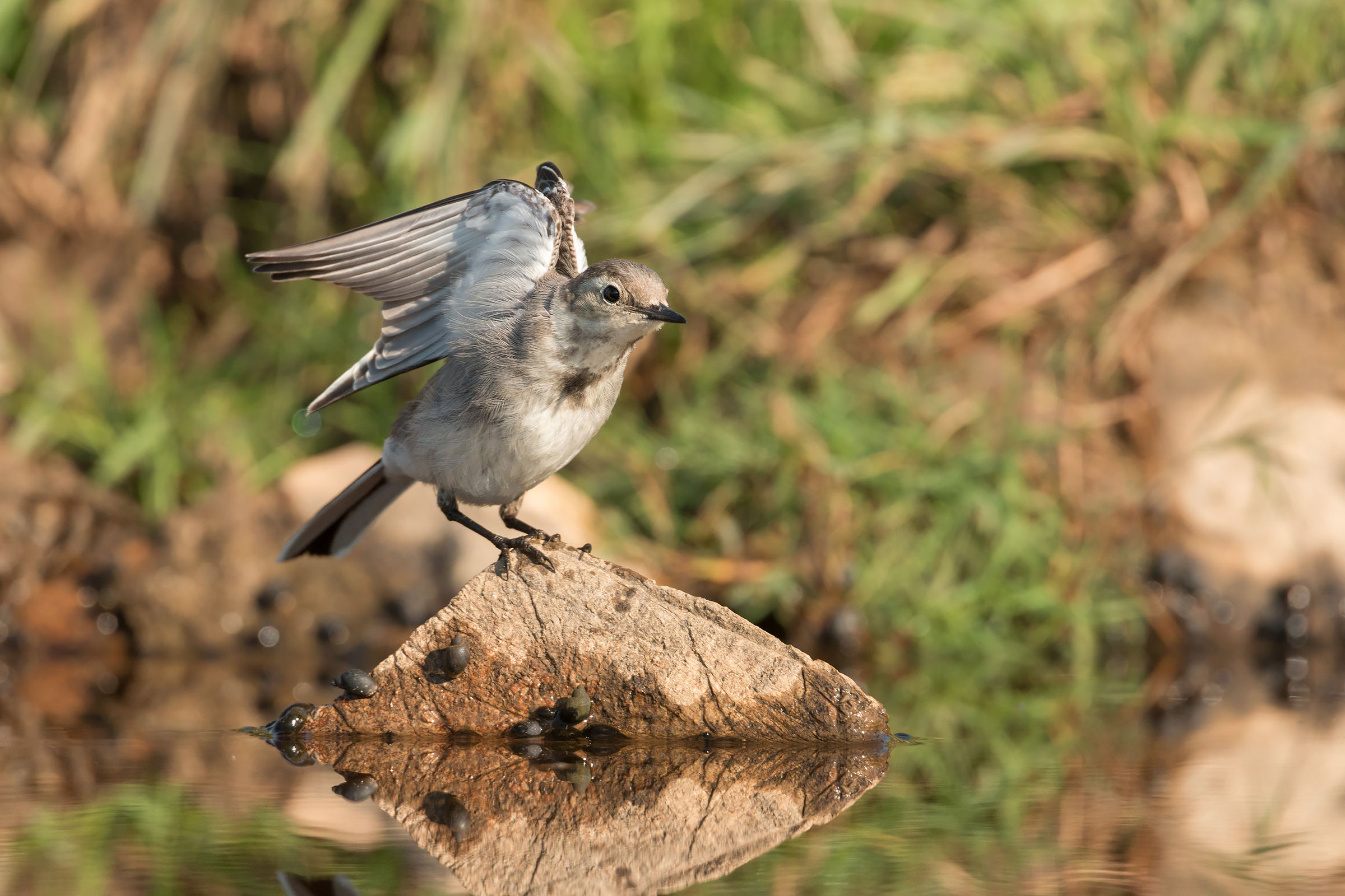 giovane in stretching