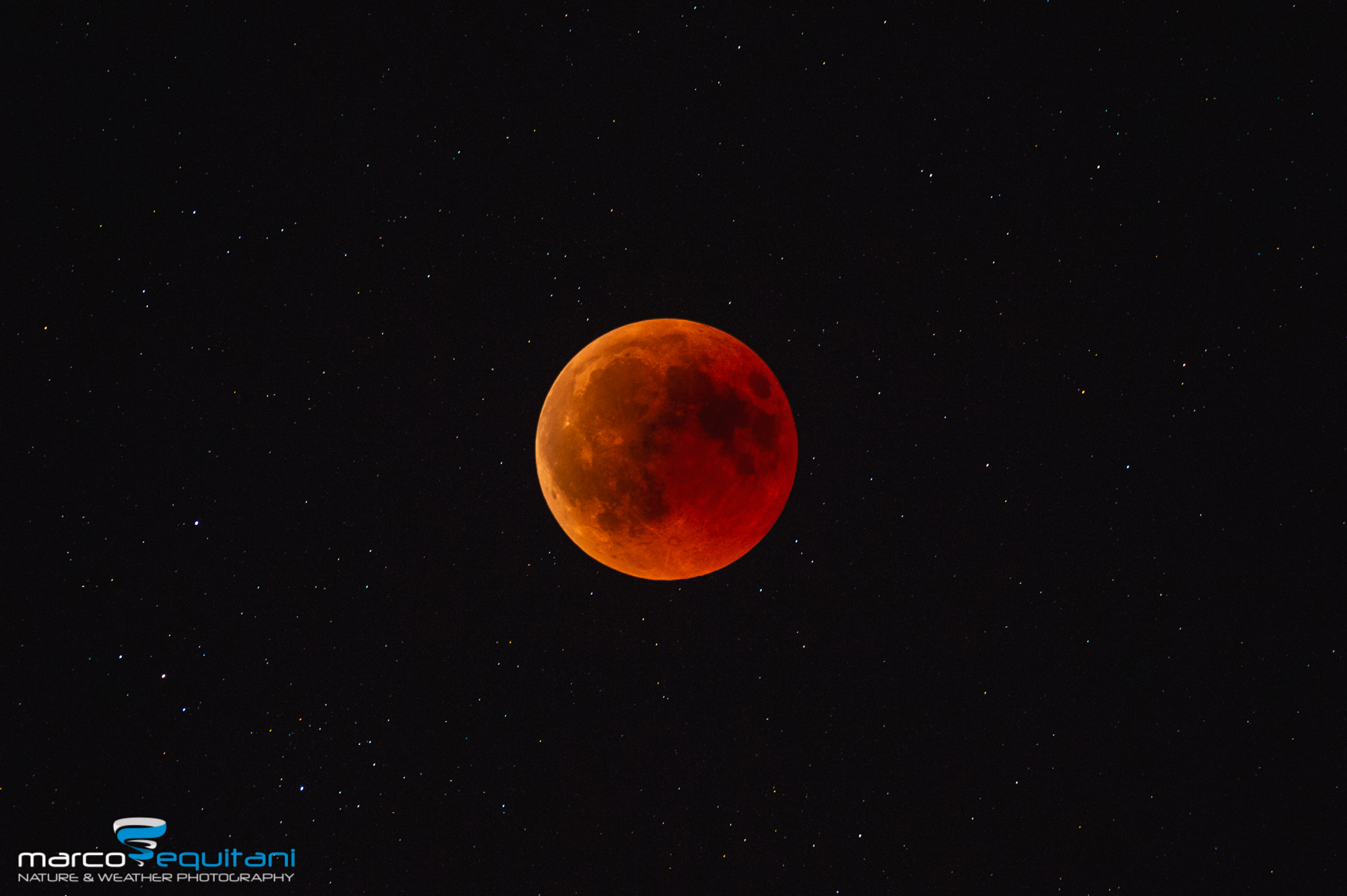 Moon Eclipse I