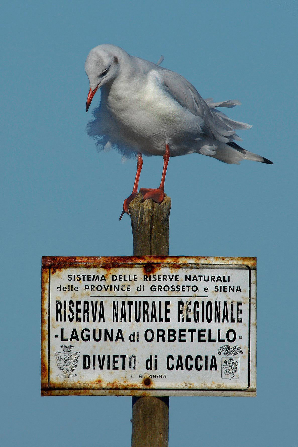 Qui spero di essere al sicuro!!!!!!!