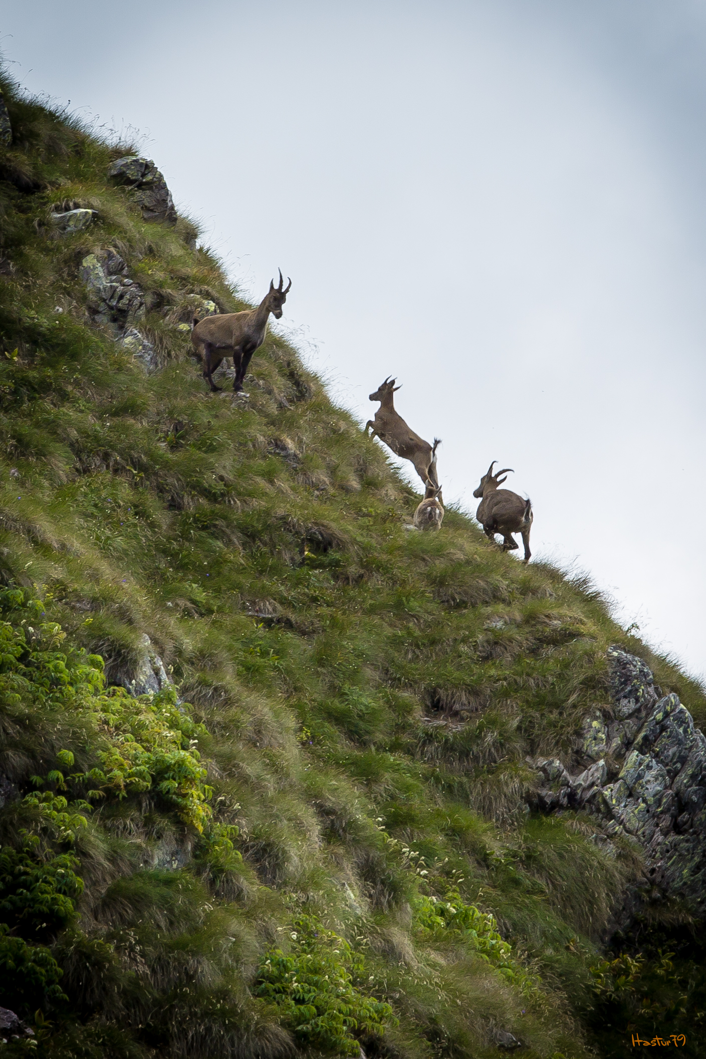 Passo di Mezzeno (2142 mt) #3