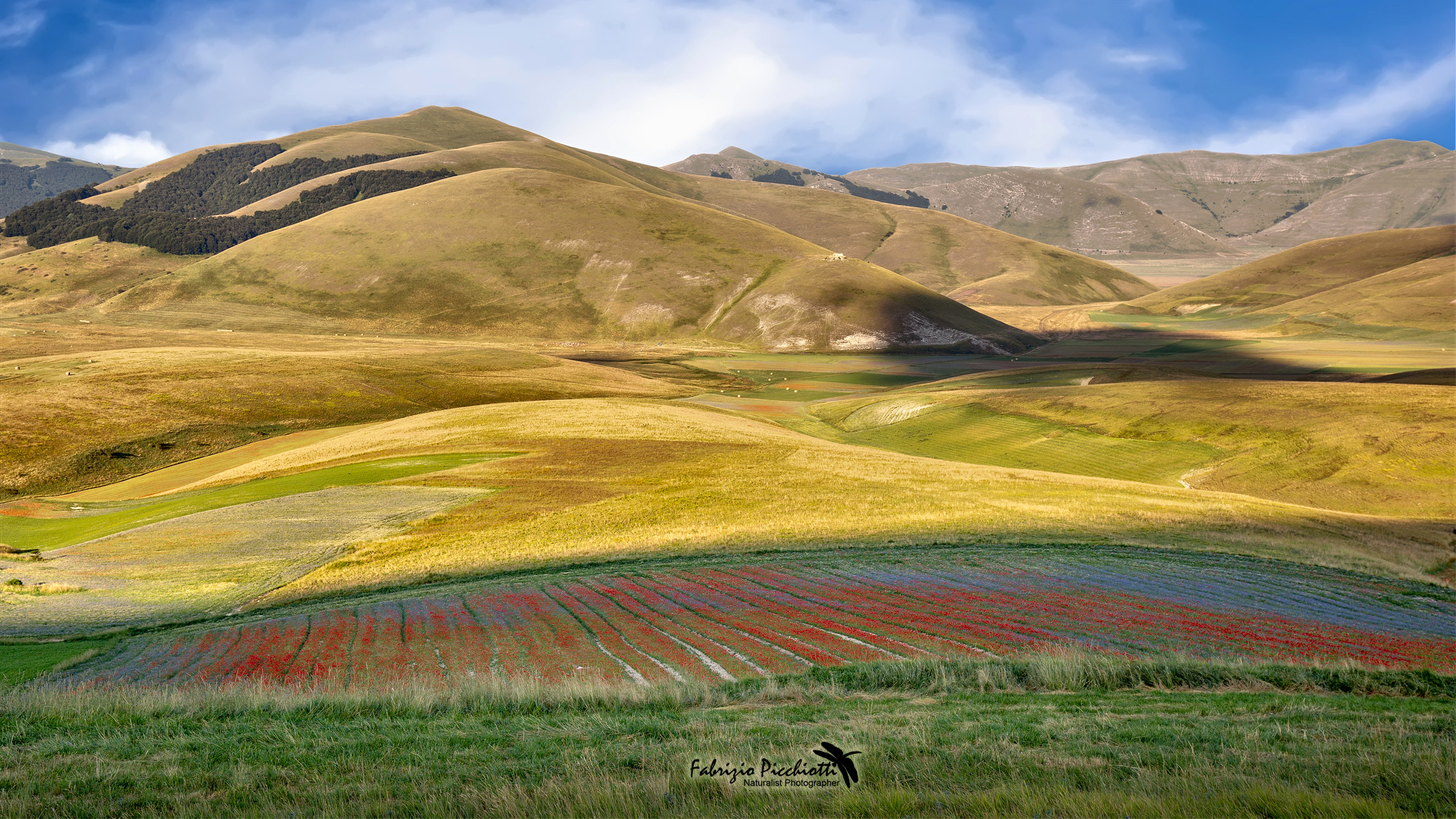 Castelluccio - Fioritura tardiva 2018