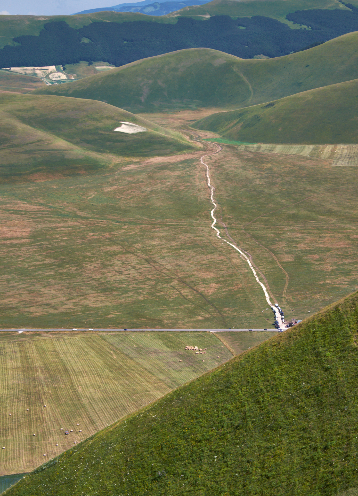 Castelluccio di Norcia, luglio2018