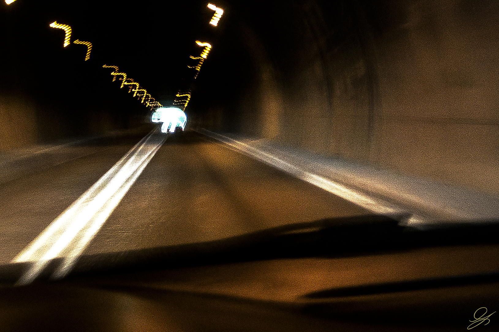 Un ippopatamo in galleria