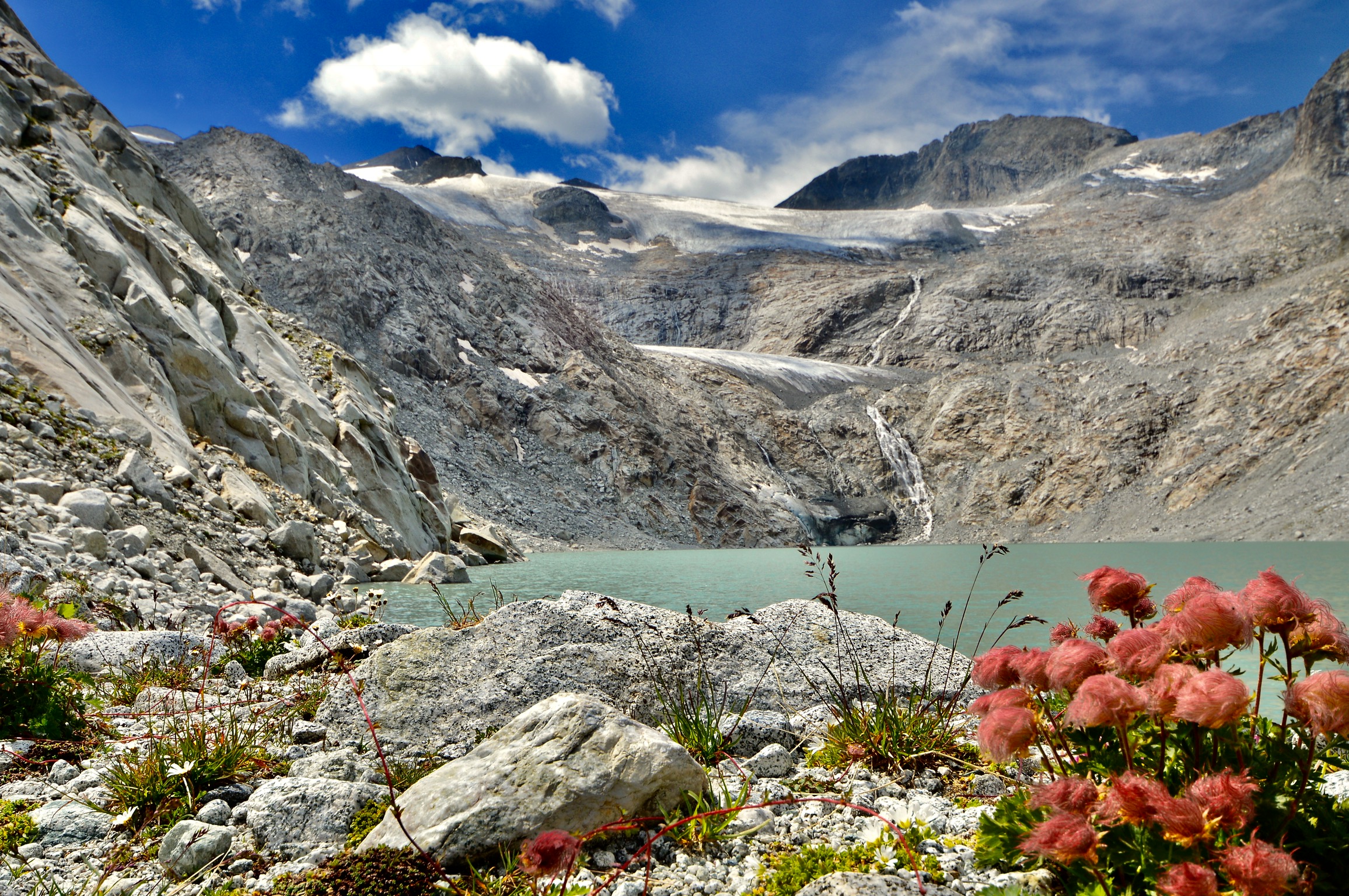 Someone knows this flower.   Thank you