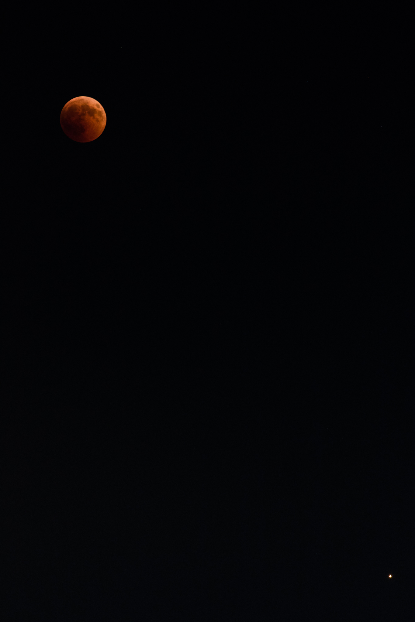 The redhead and the red.