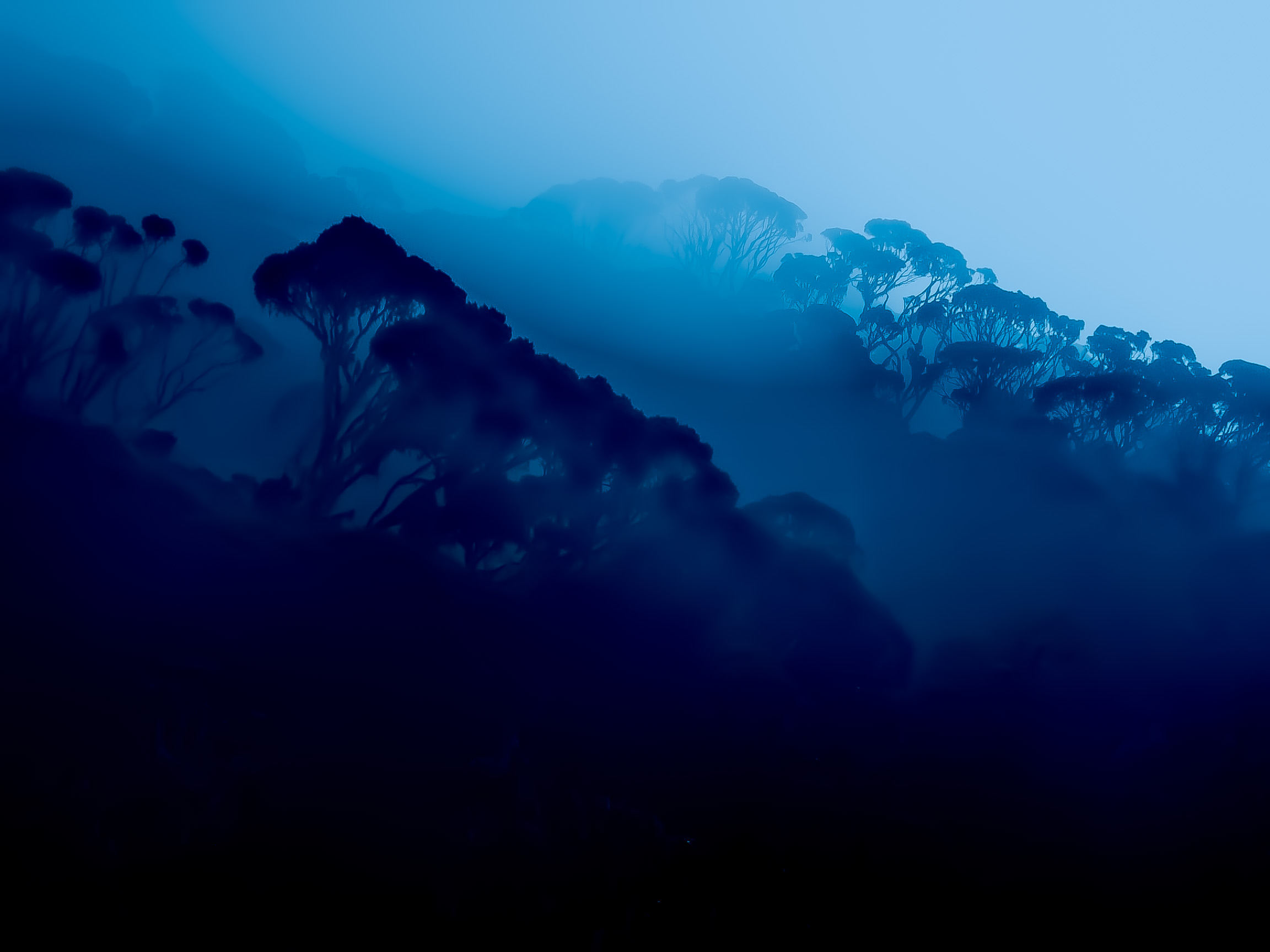 The mountains of the moon