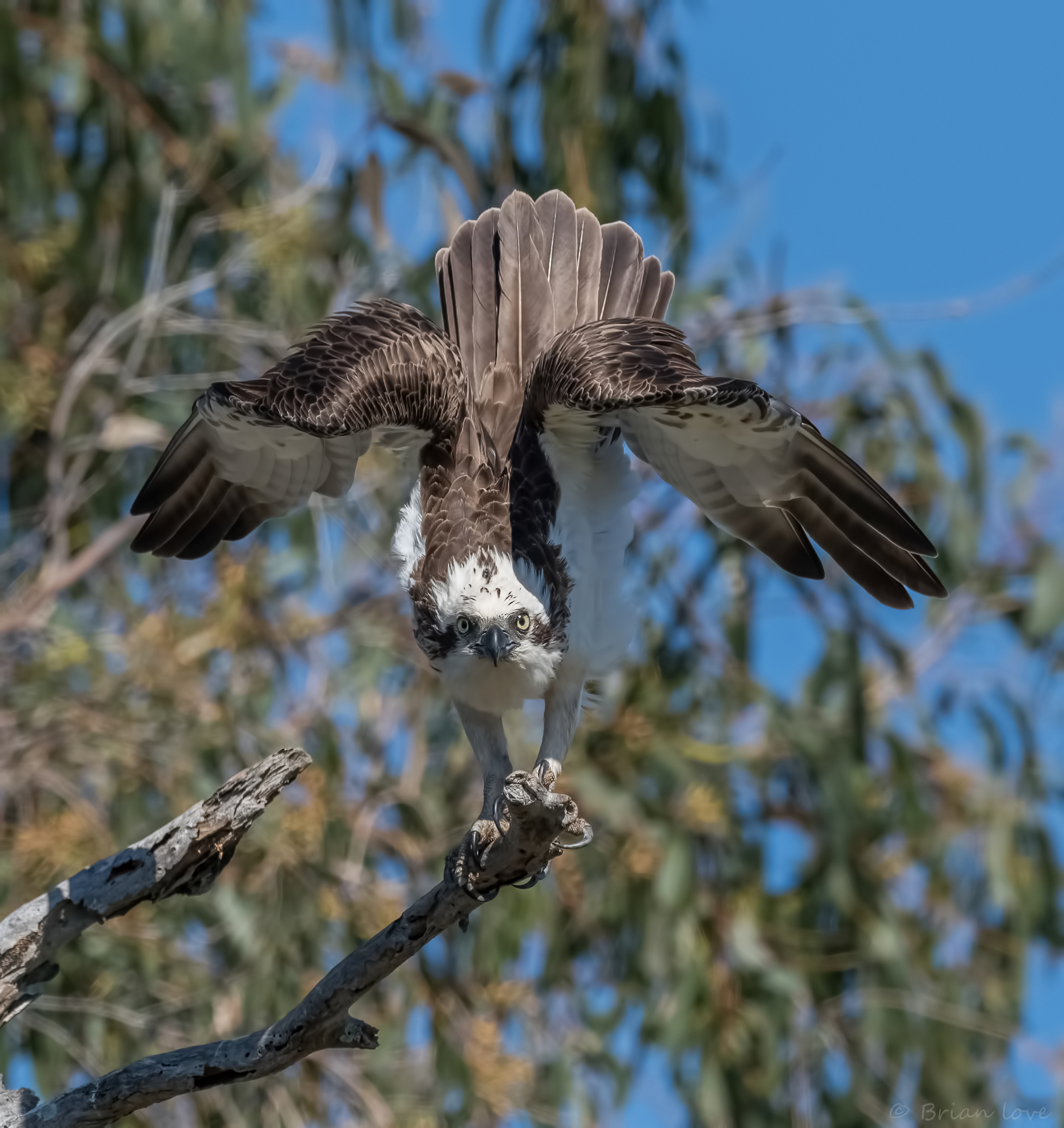 Sciopero una posa per la fotocamera!