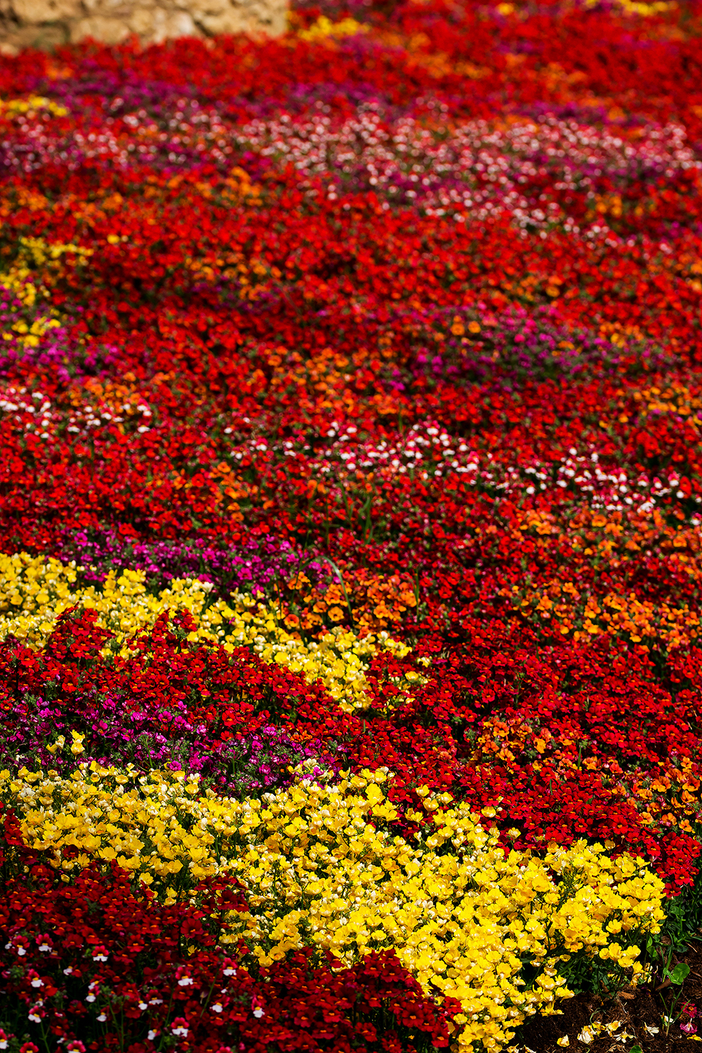 Tonalità cromatiche