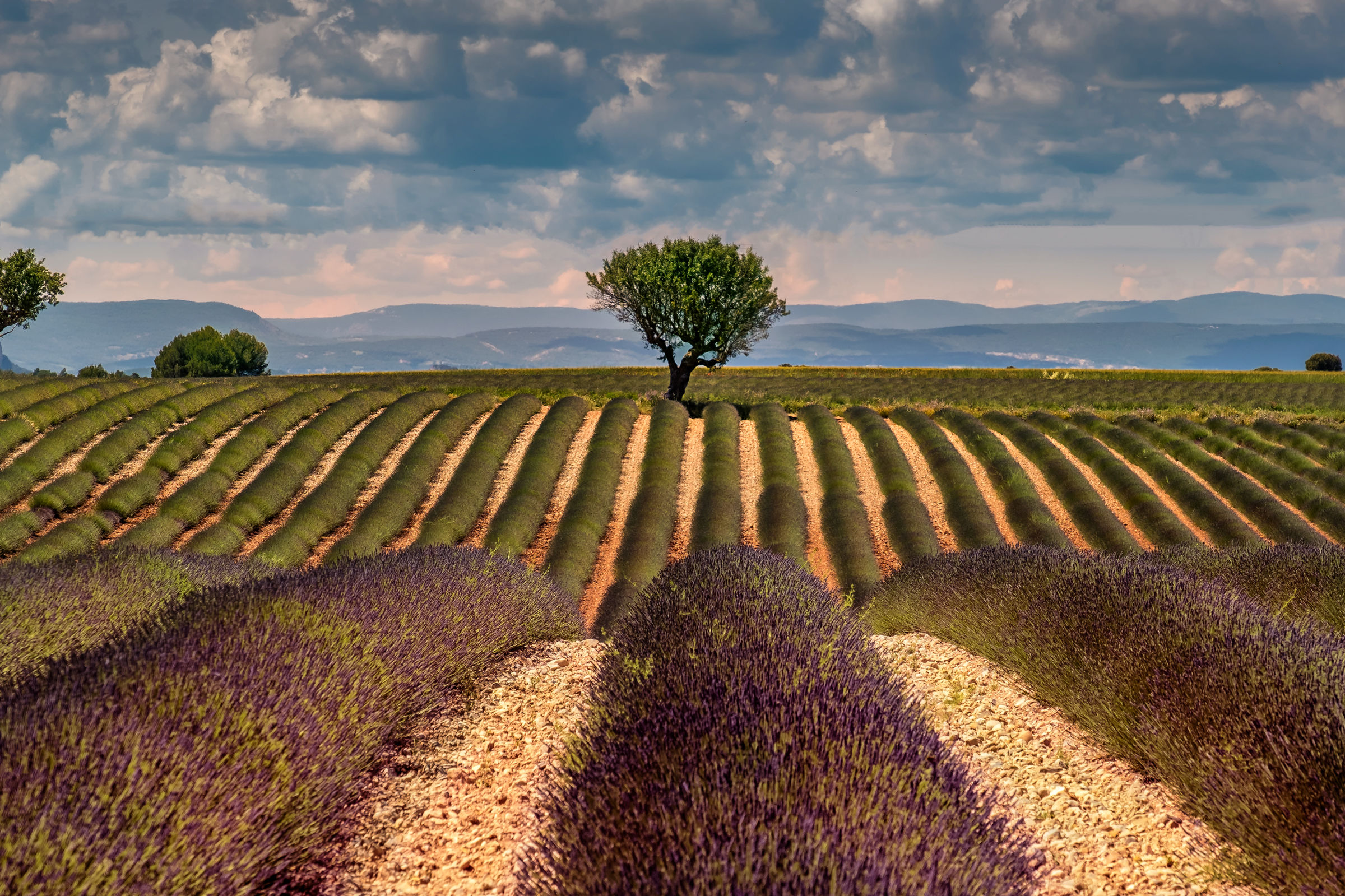 Valensole