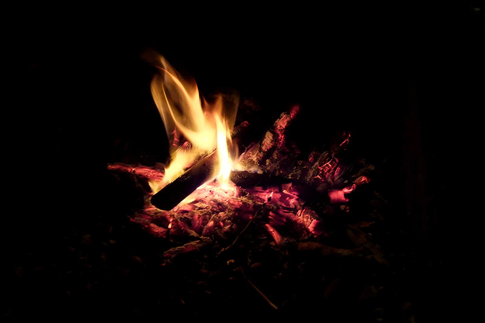 Warm Fire