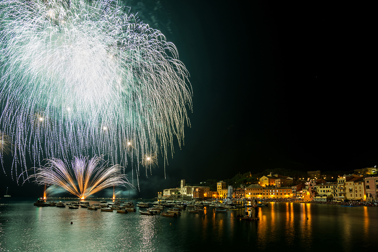 The Magic of the Bay