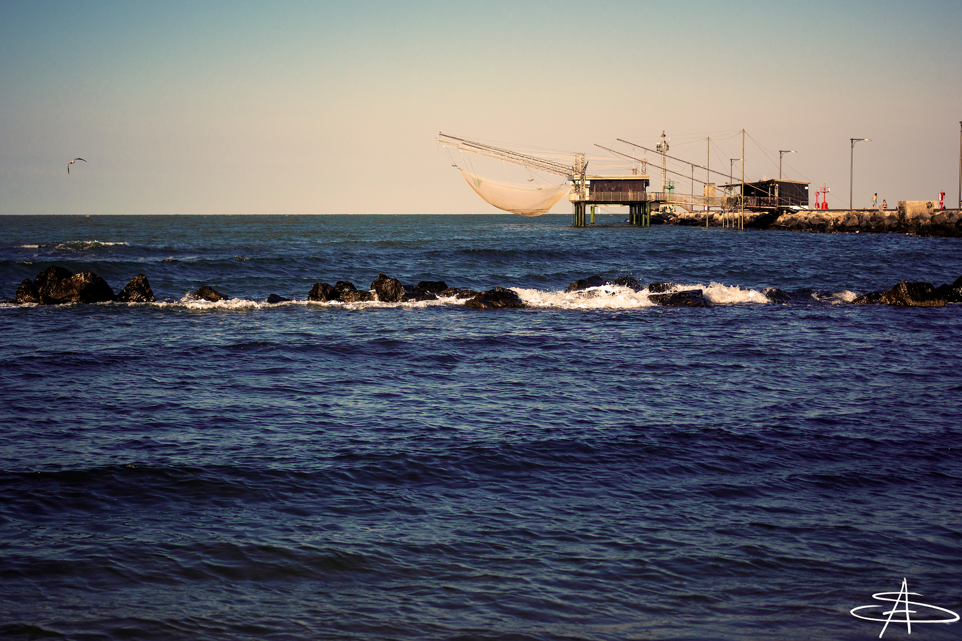 Untitled Photo