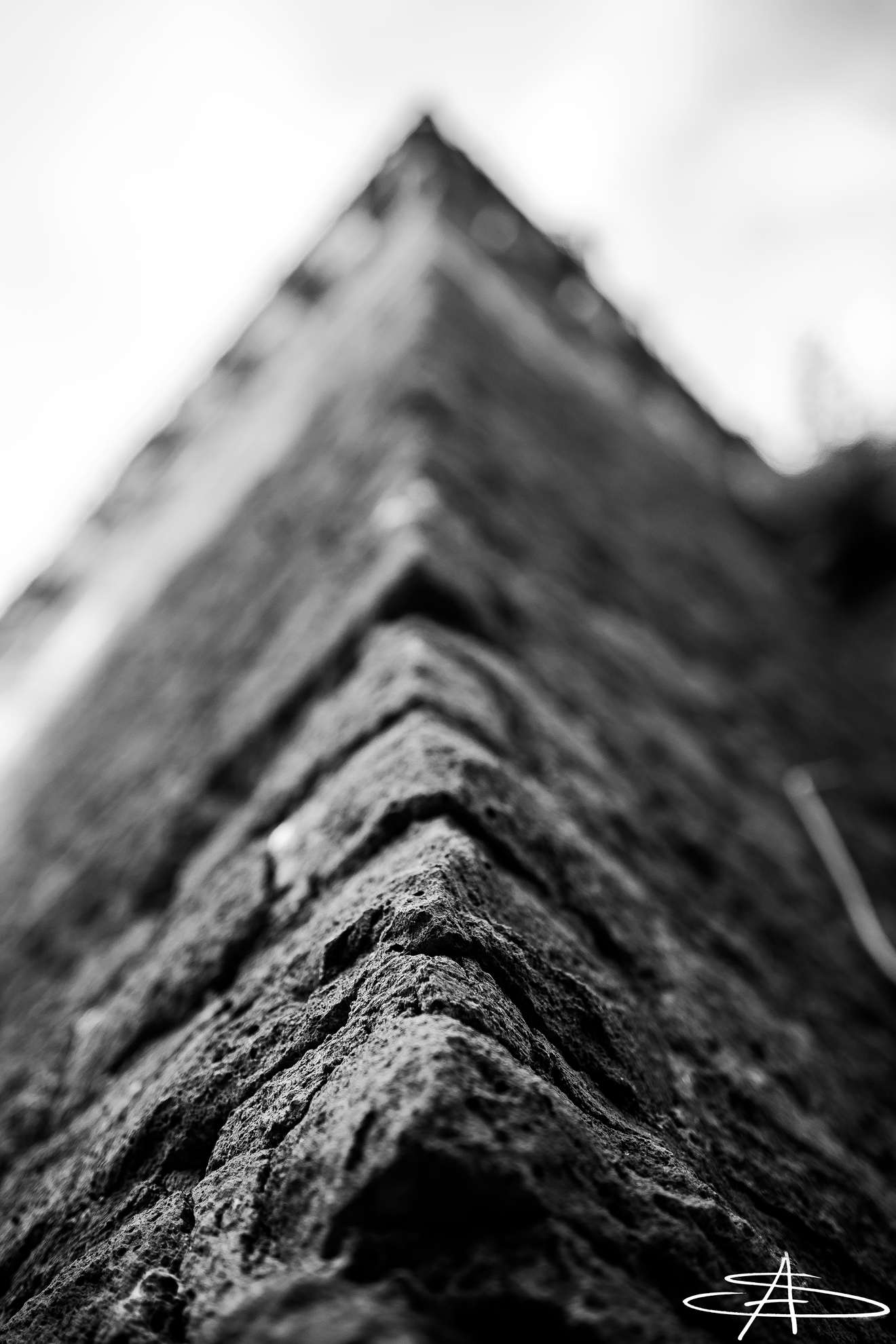 Untitled Photo