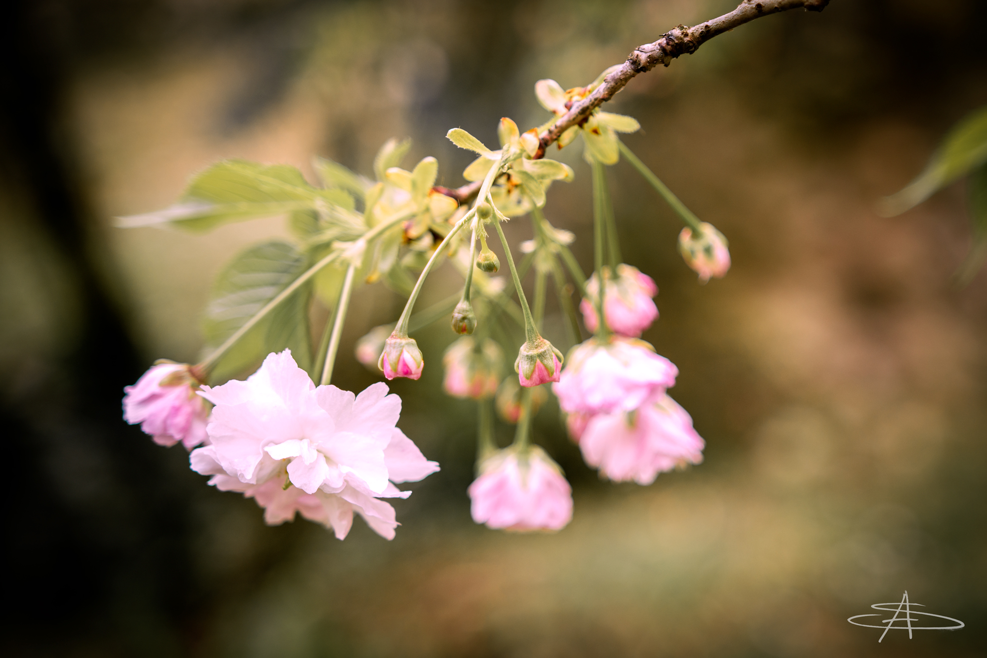 Untitled Photo