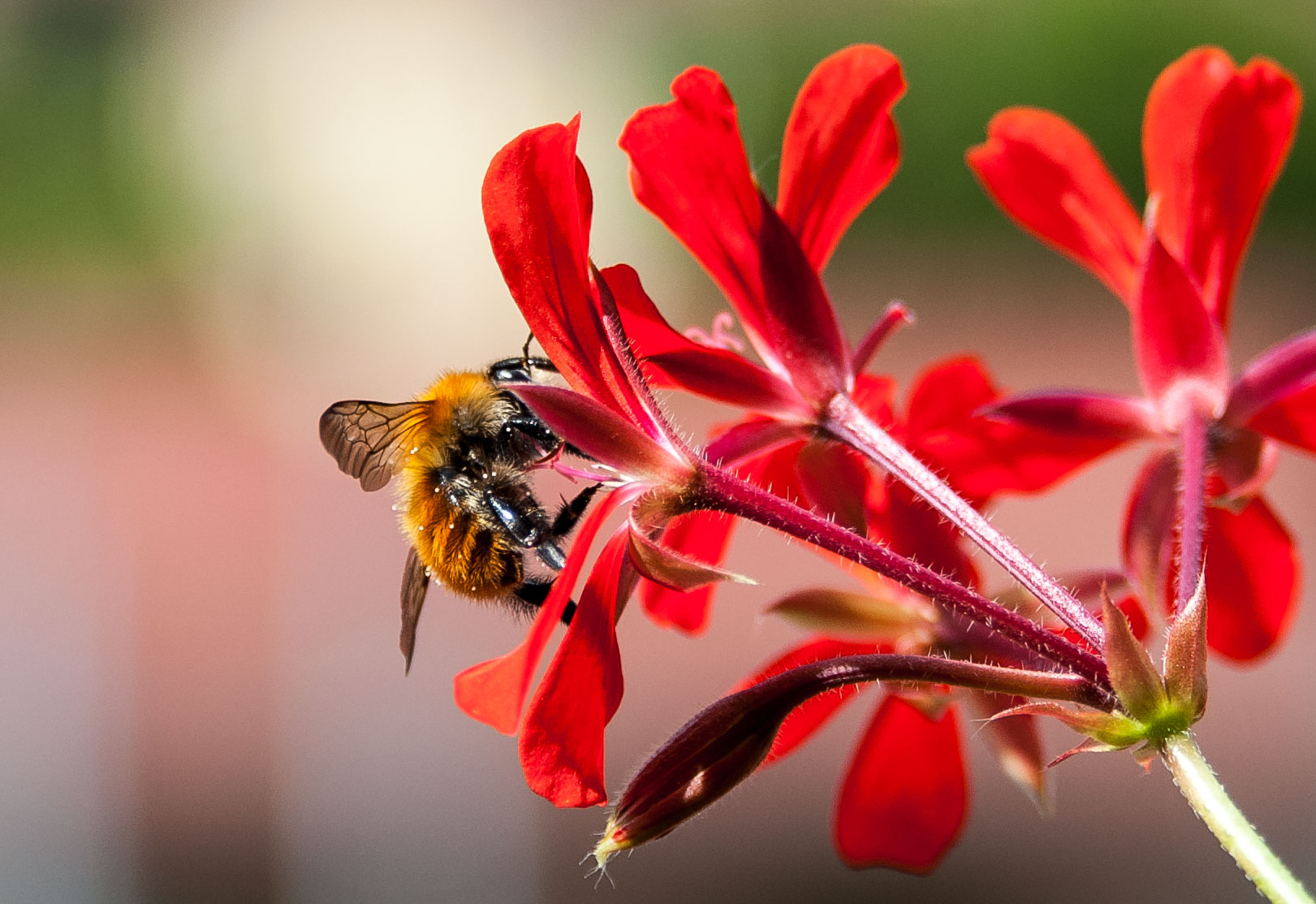 Yum.... yum.... BUONOOOO!!!!!