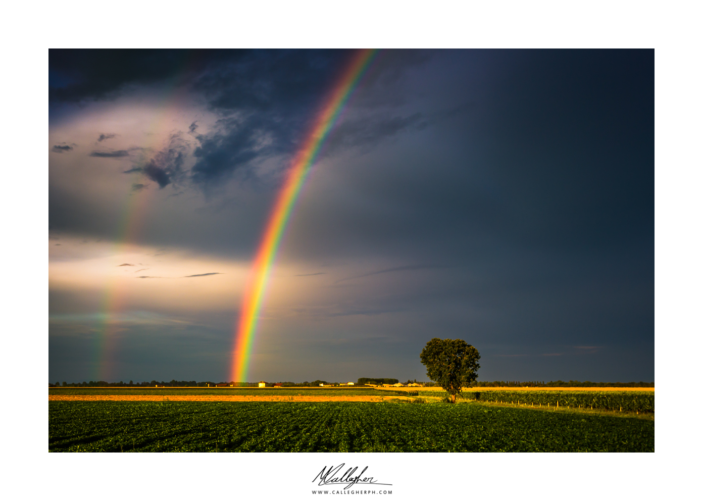 A rainbow in the dark