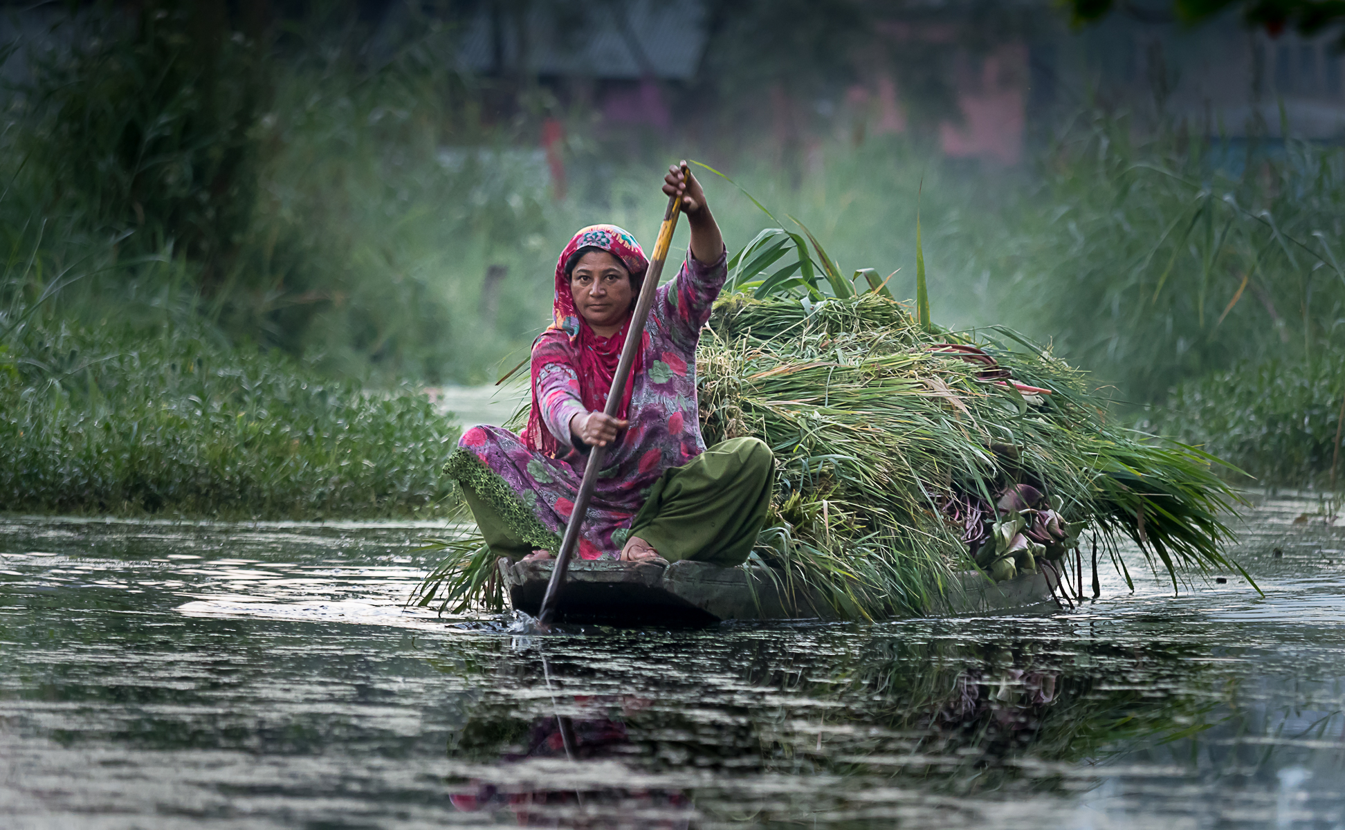 For the canals of Lake Dal