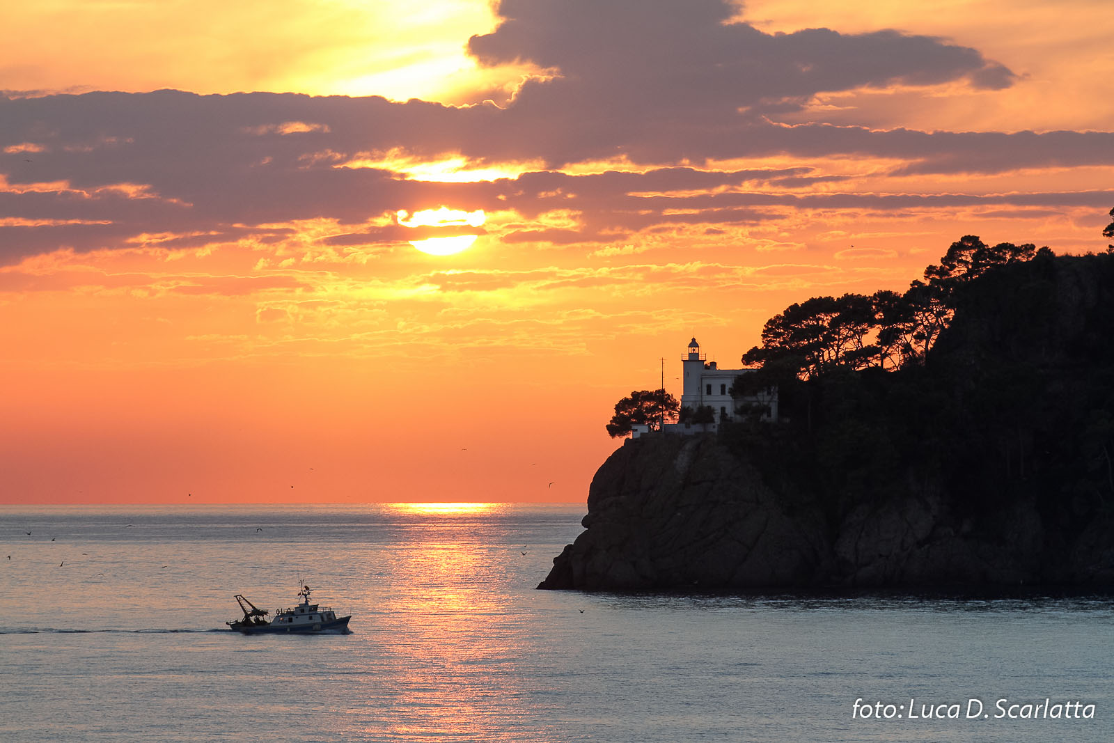 Arriving in Portofino