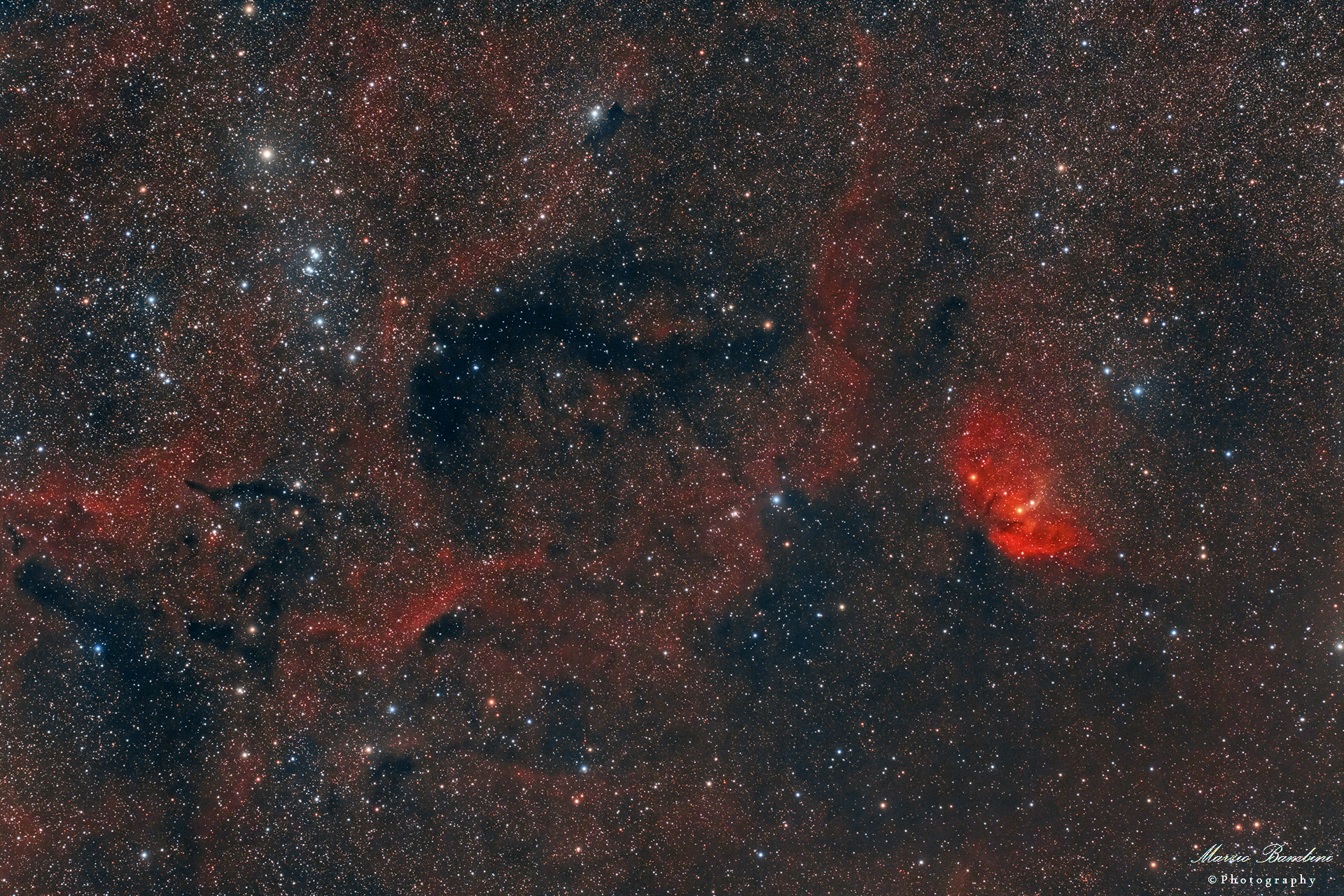 Tulip Nebula region