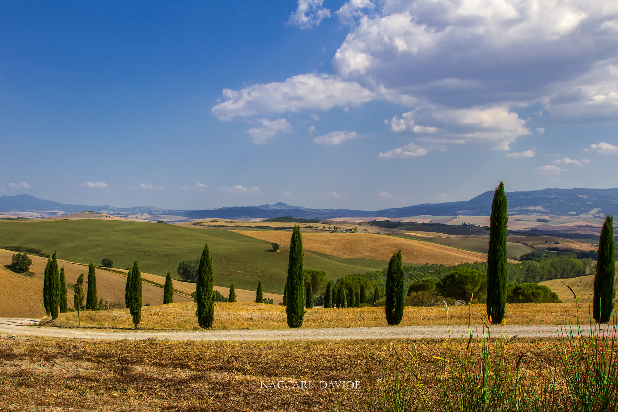 La strada dei cipressi