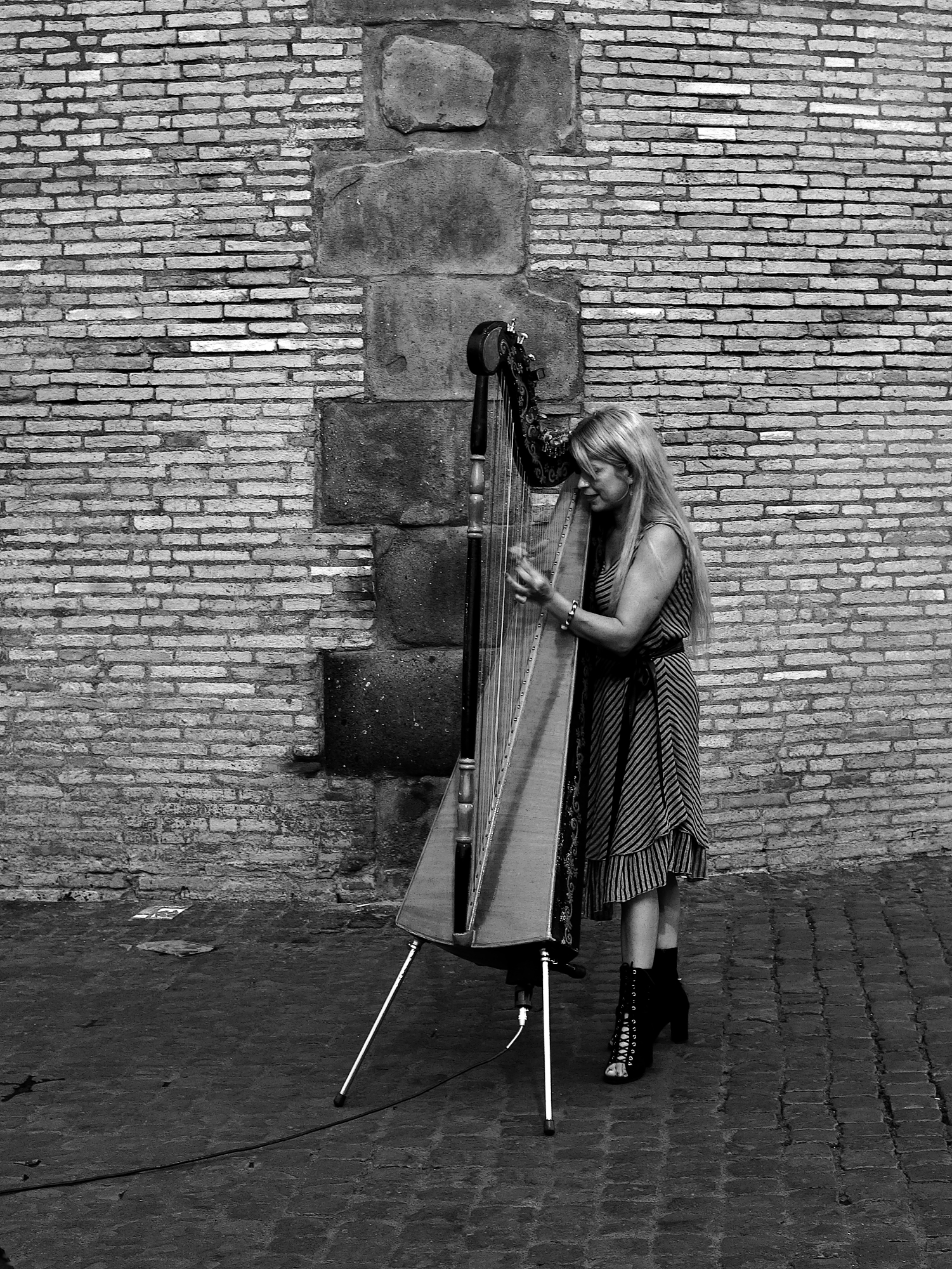 Harp-Mole Adrianorum