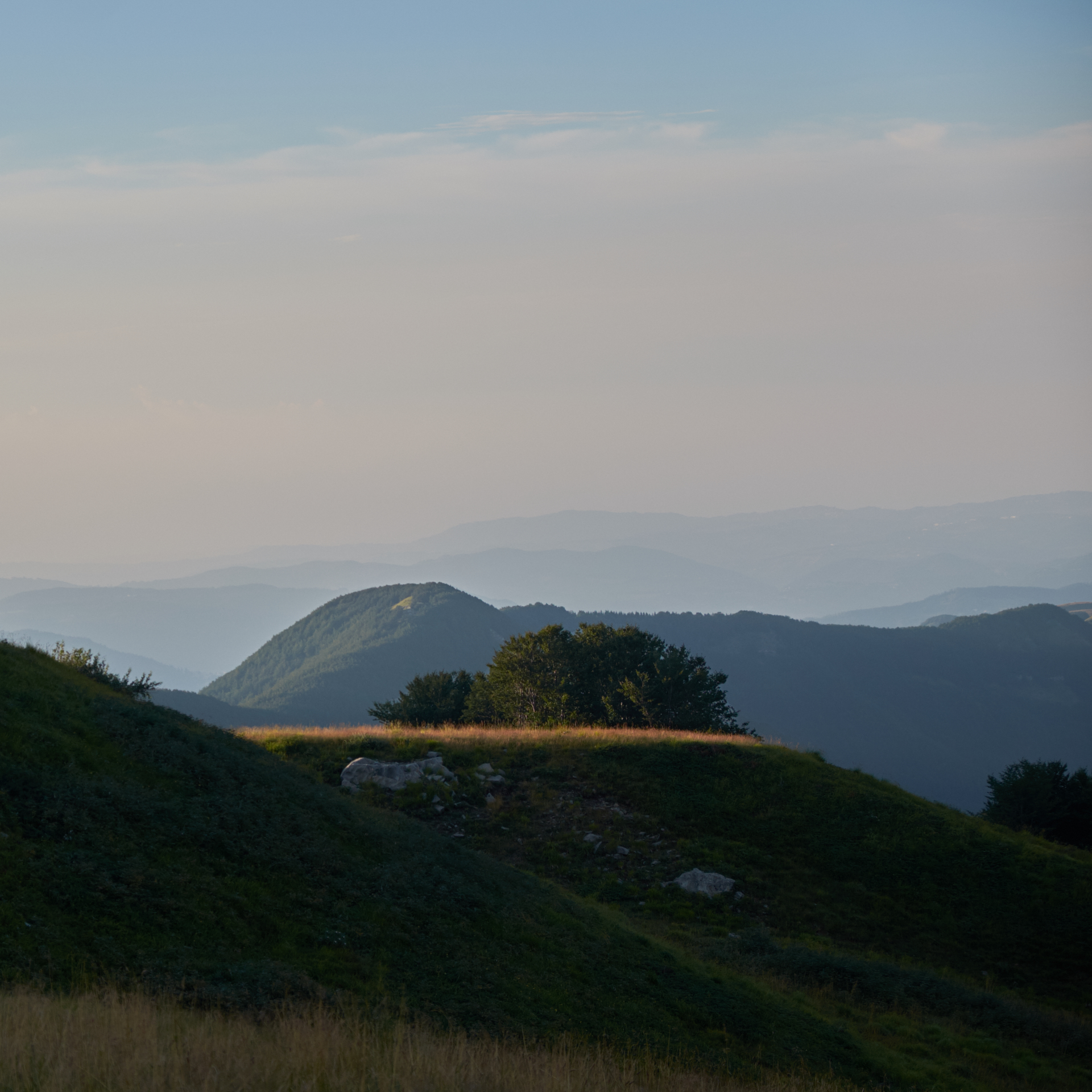 Rising to the sunset towards the lake