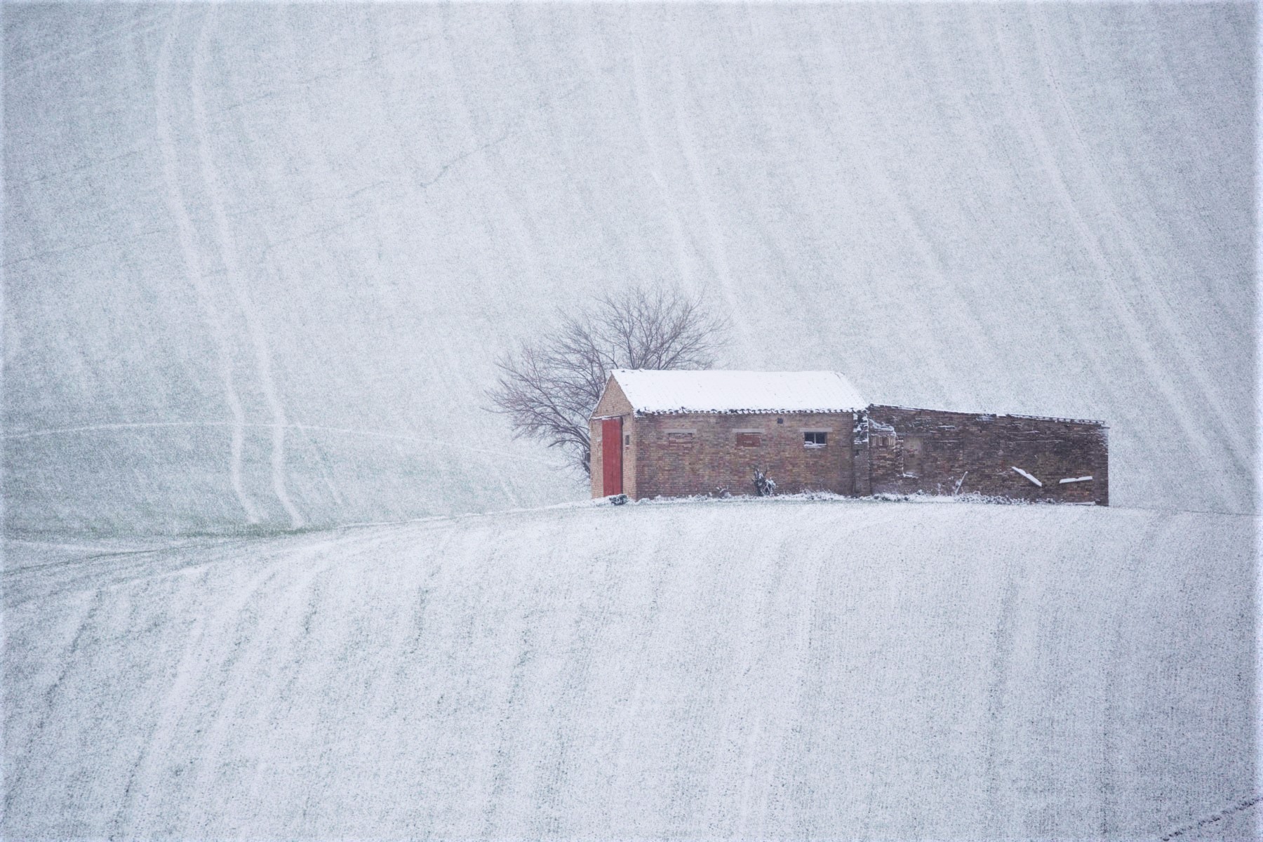 Dream of coolness in the middle of summer