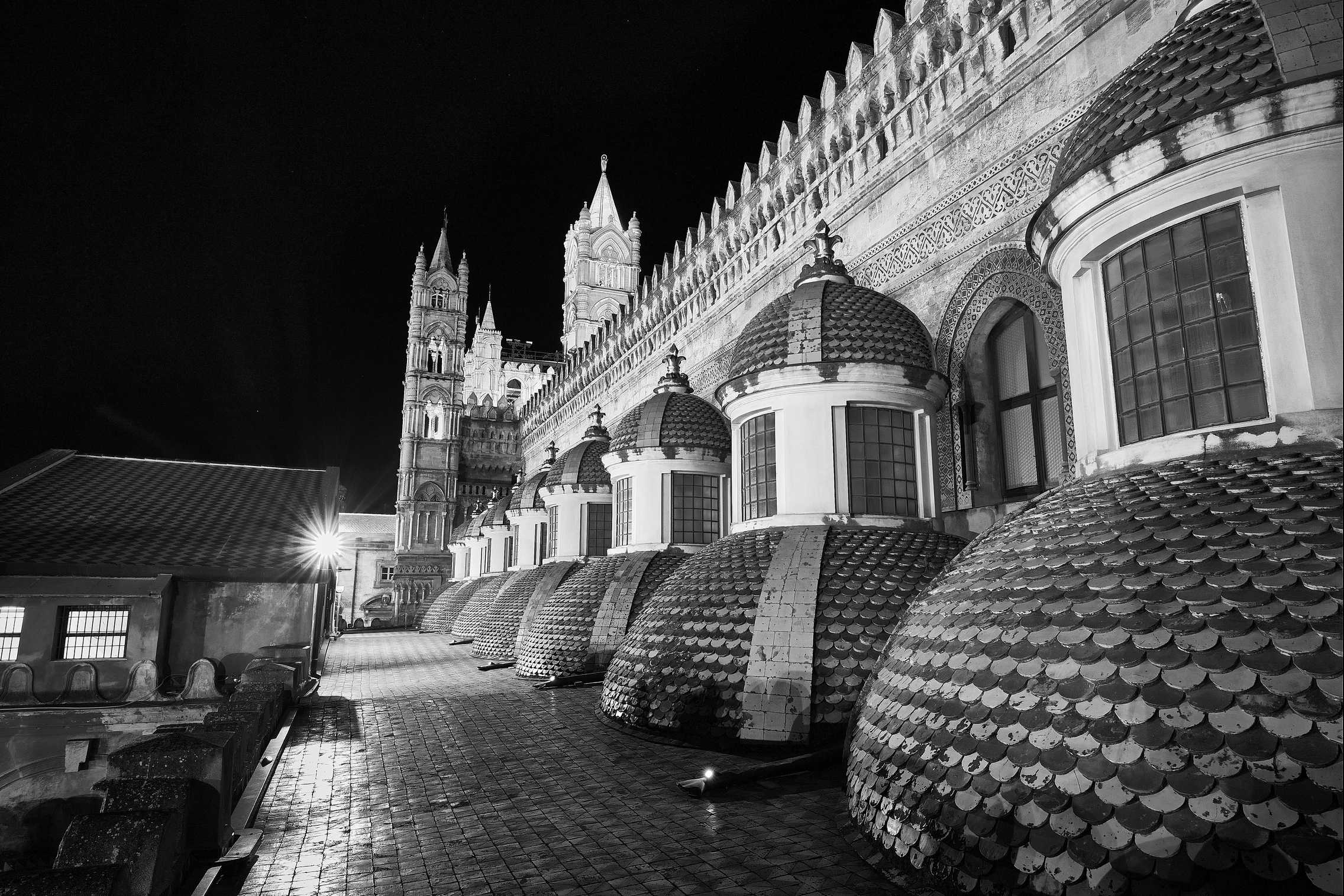 I tetti della cattadrale di palermo