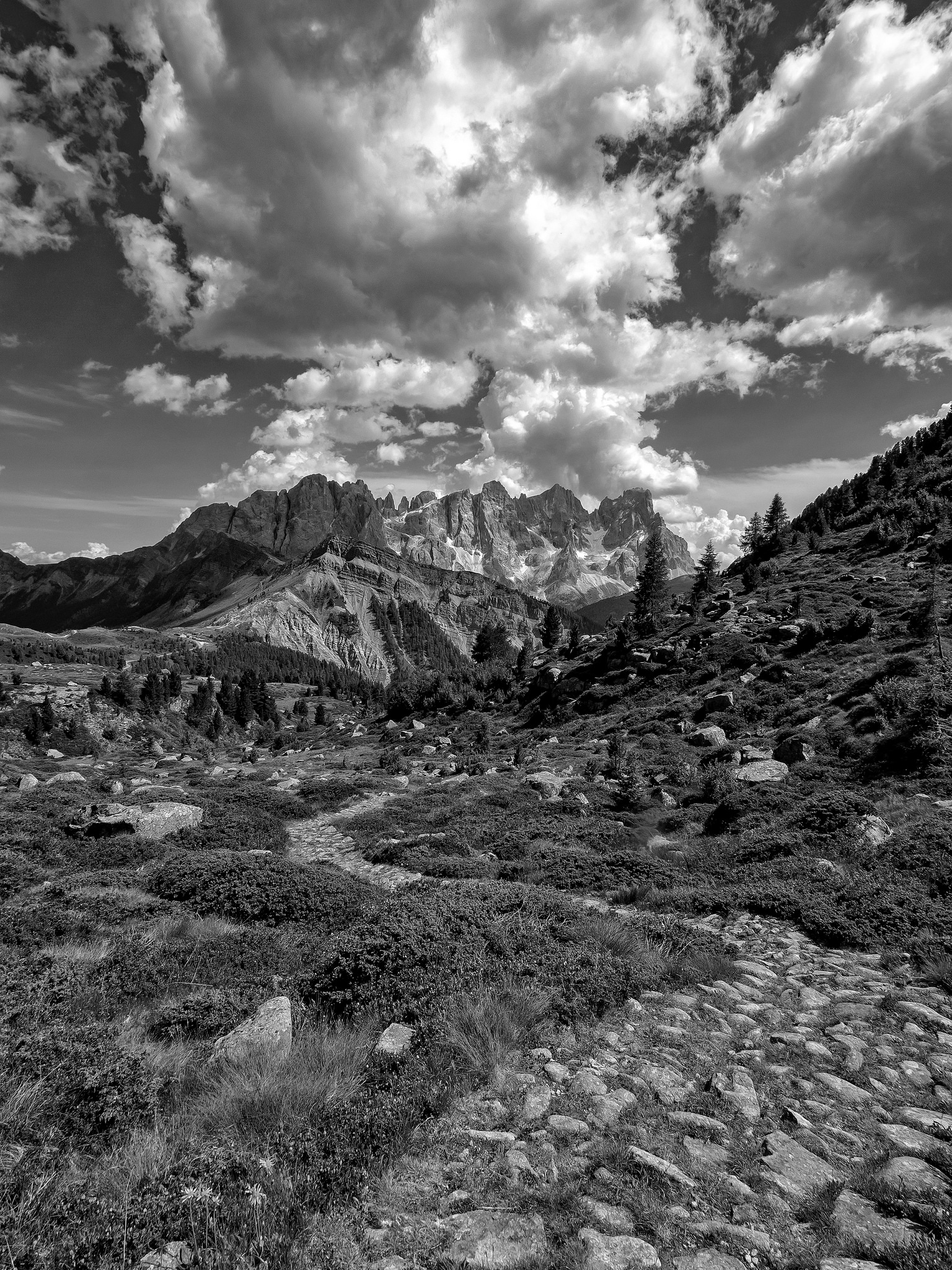 A Pale shot in black and white