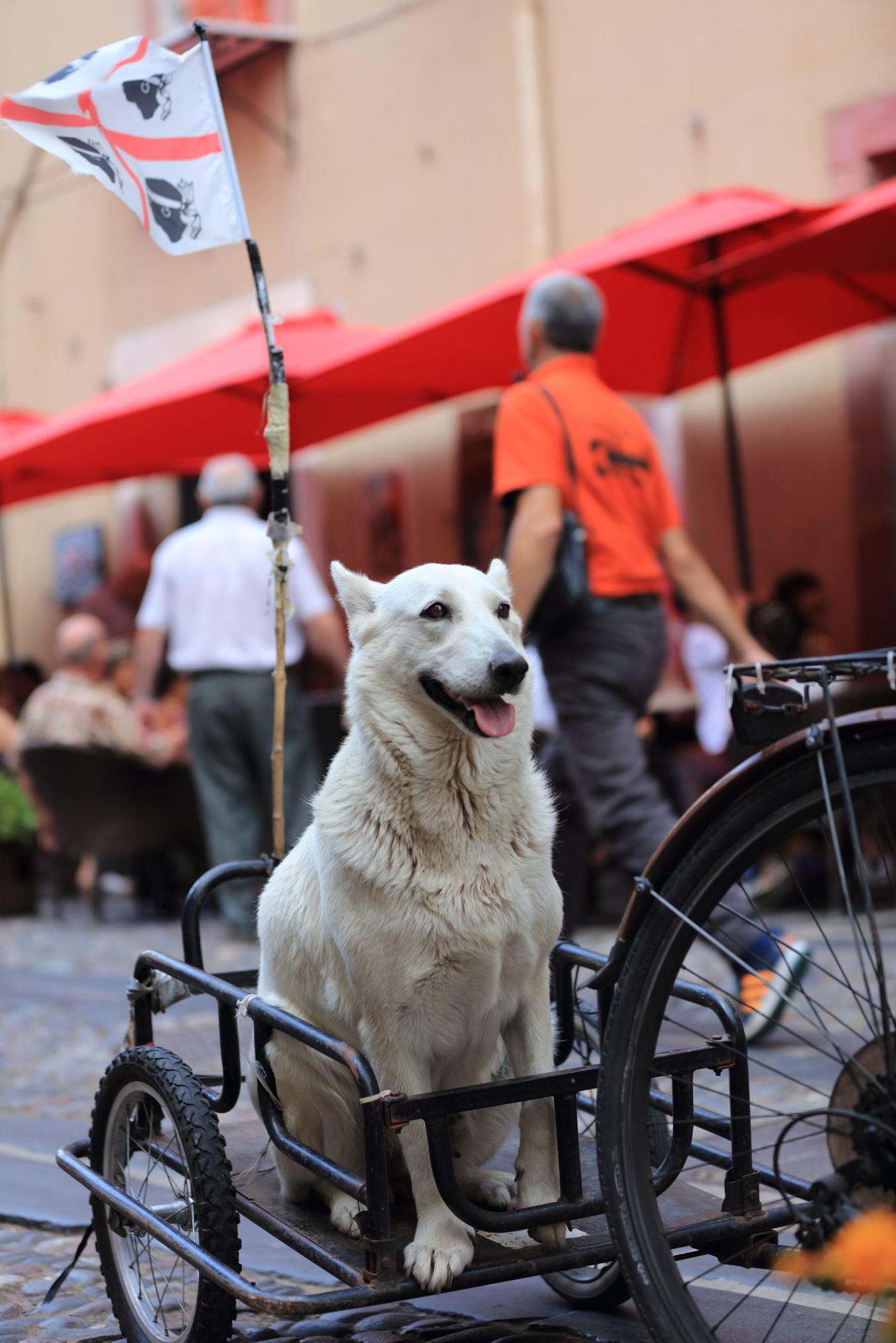 There are those who travel in first...