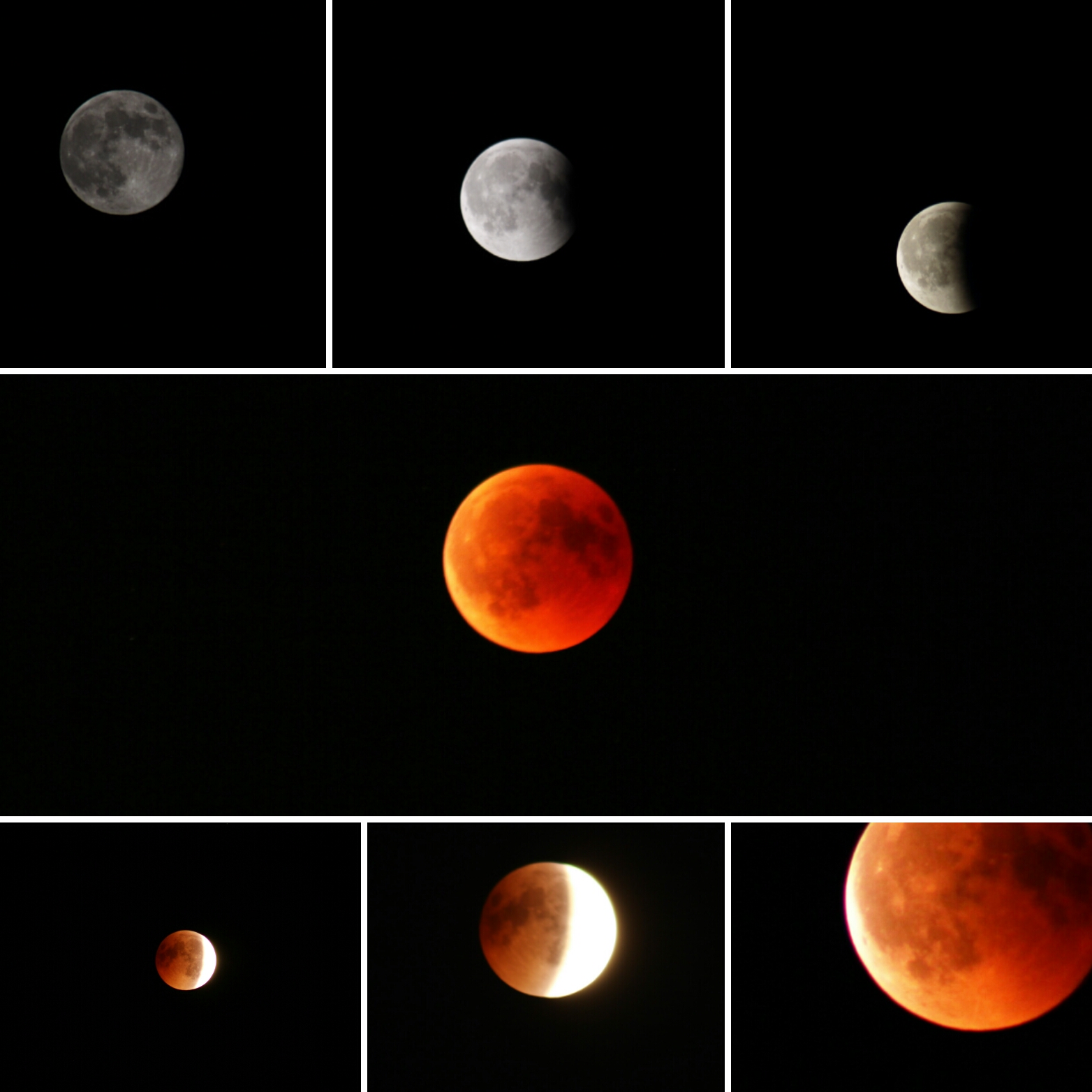 Le varie fasi dell'eclissi lunare