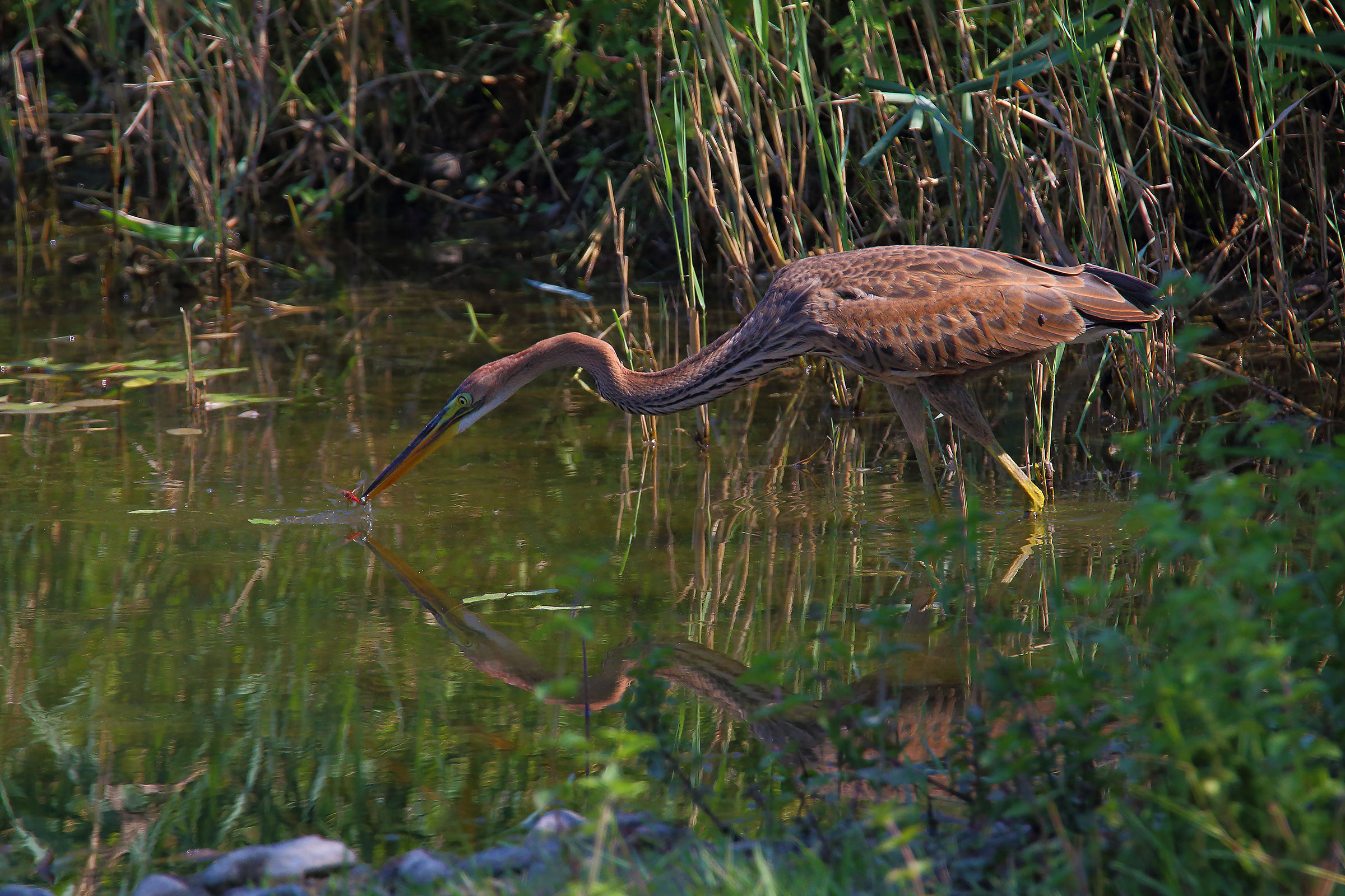 Who is satisfied....