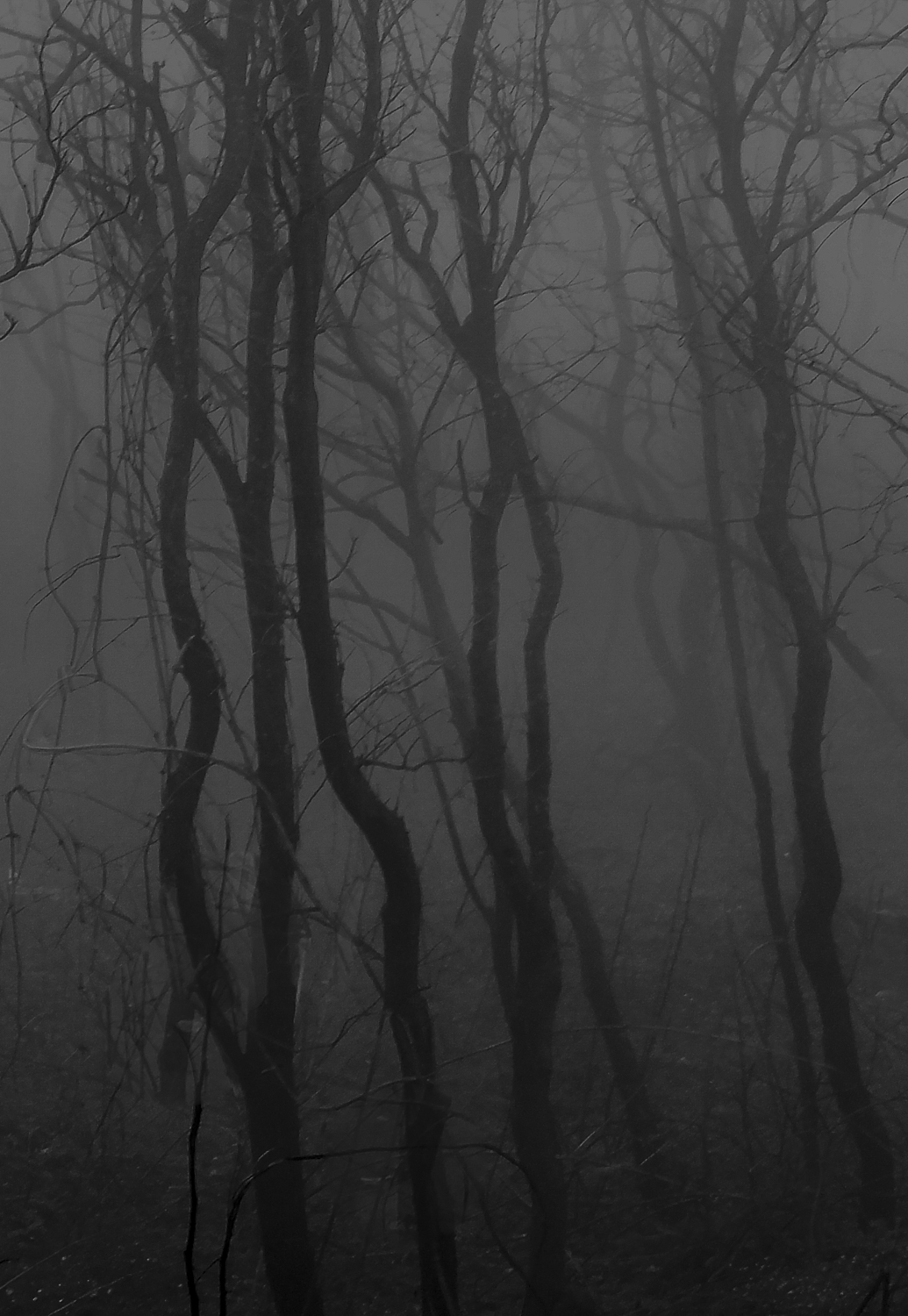 foschia sulle pendici del vesuvio