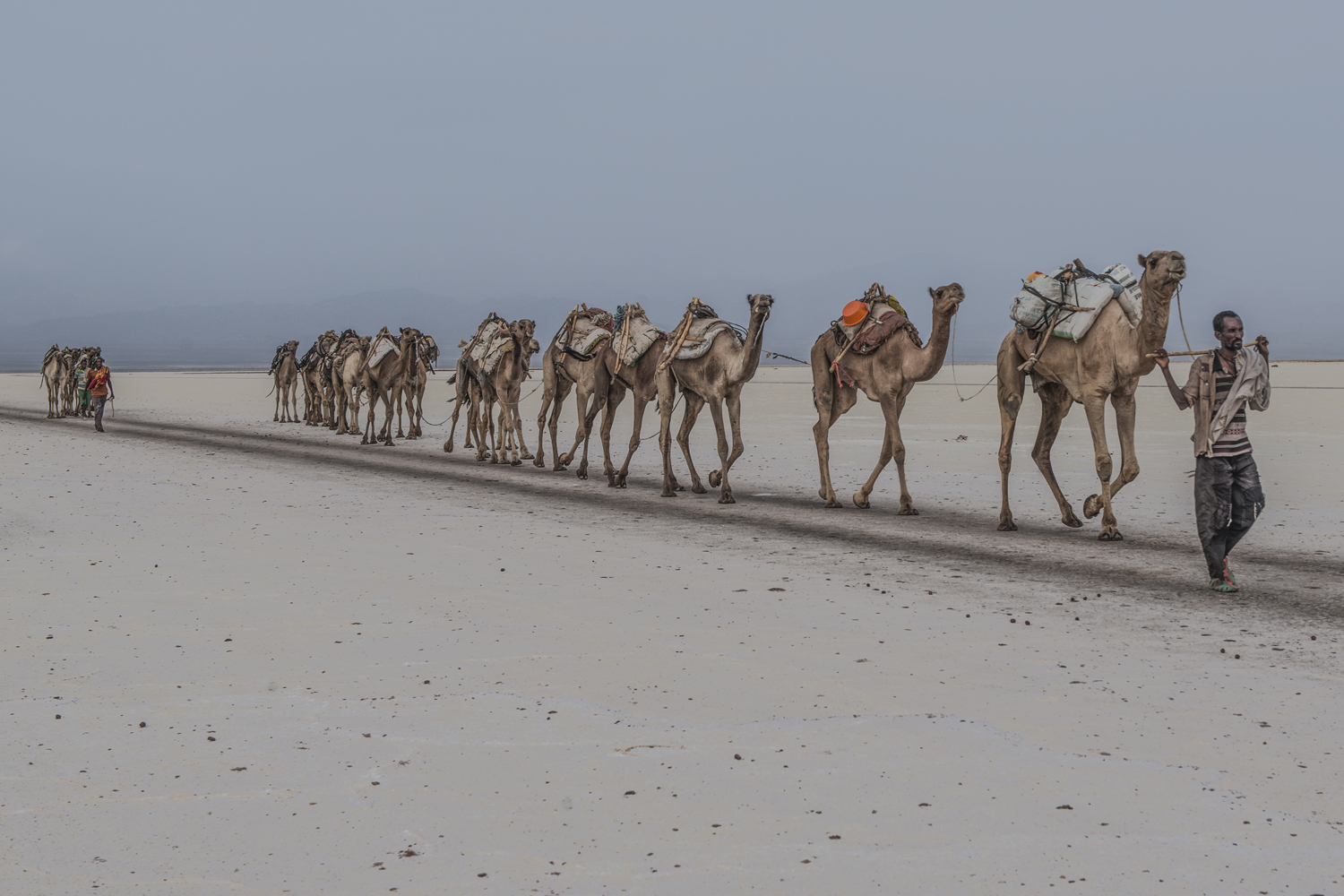 Caravan in the Salt plain
