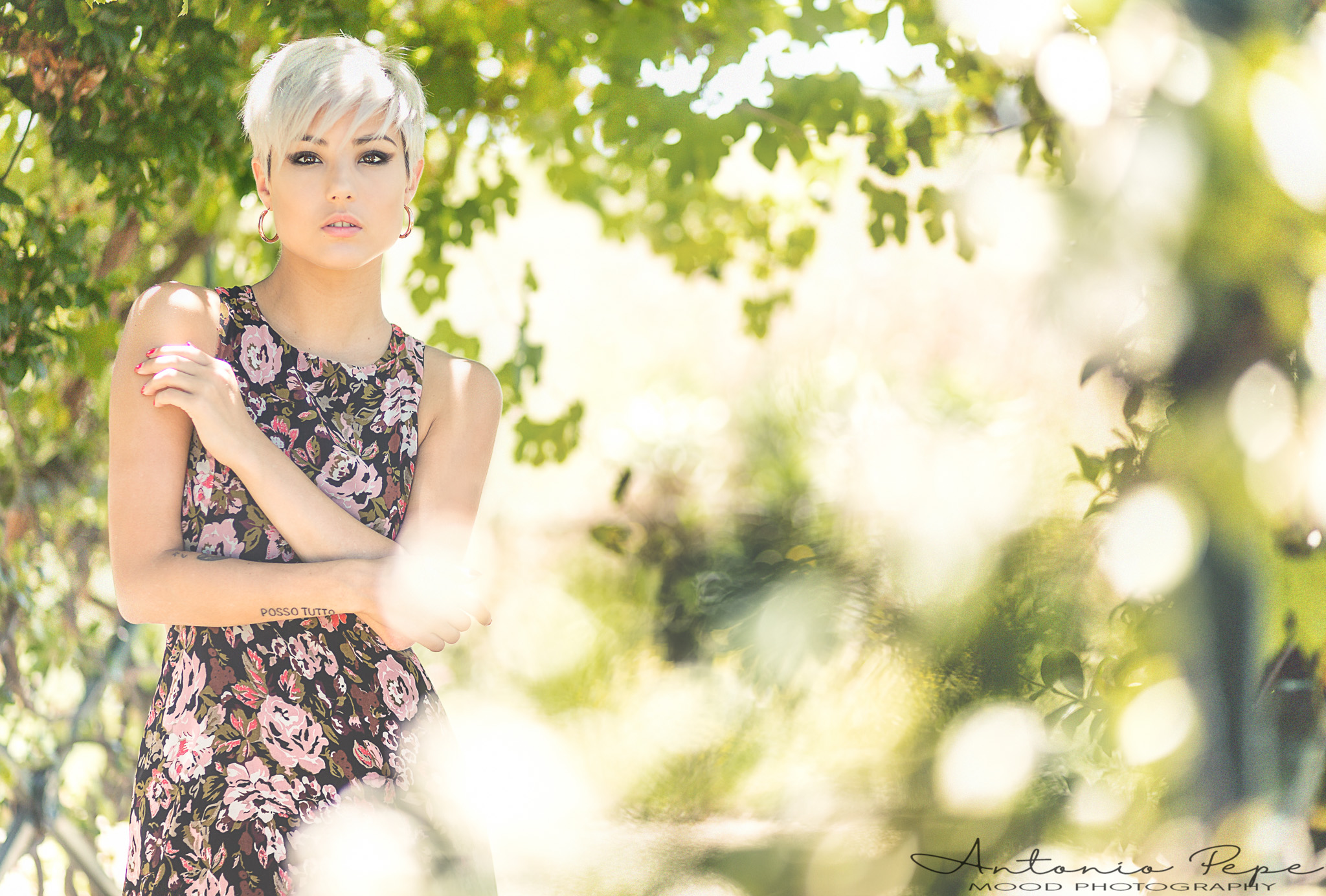 sweetness beetween light leaf