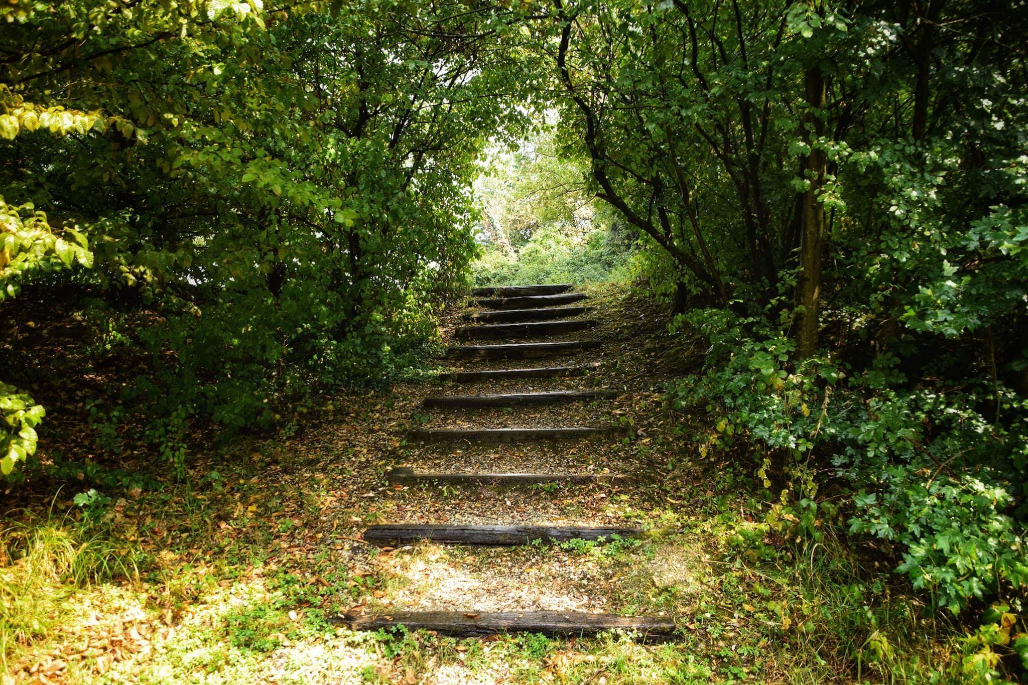 Particolari... all'insegna della natura