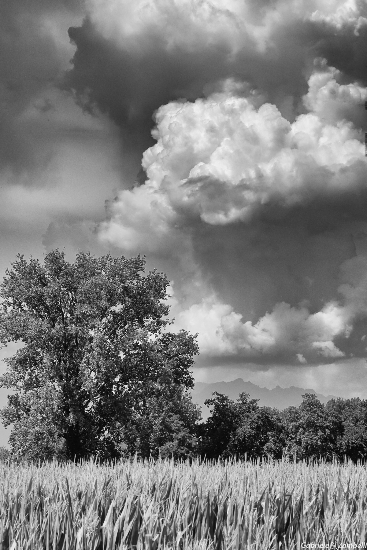 incoming storm in lowlands