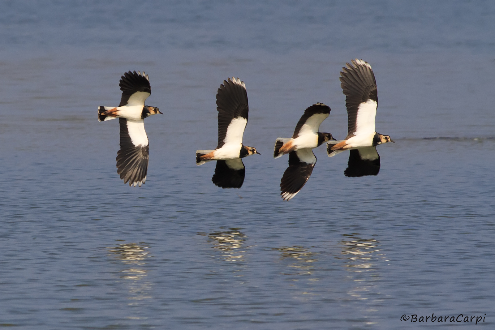 Pattuglia acrobatica