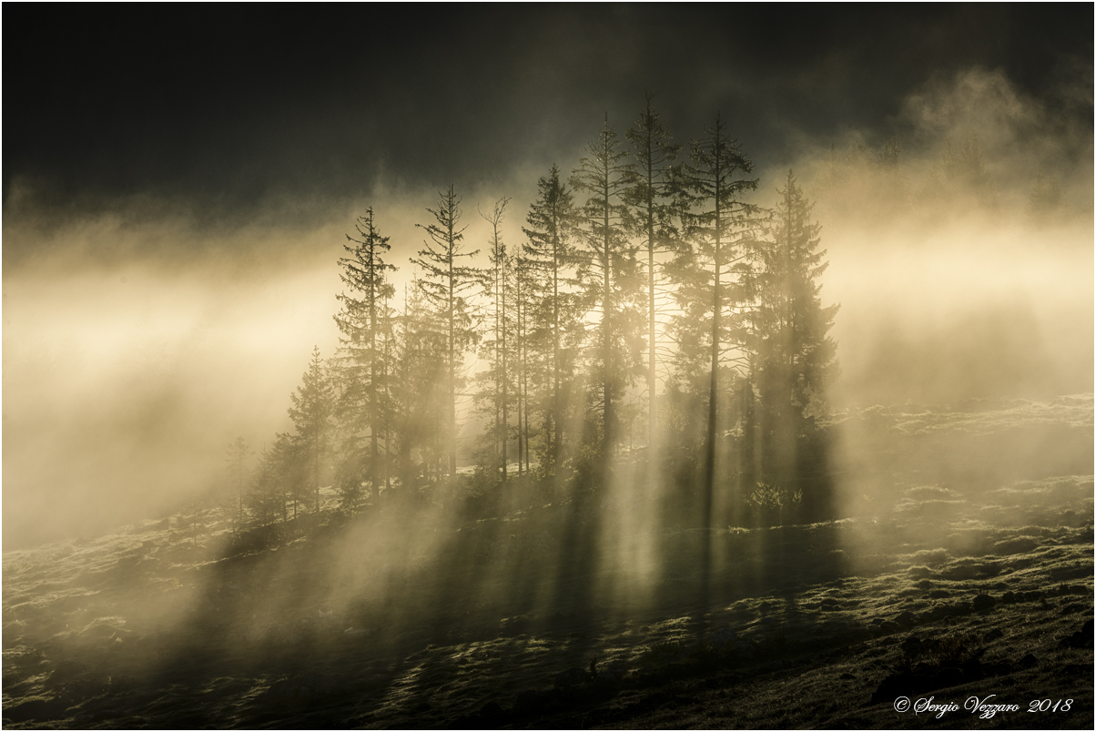 The light of the East