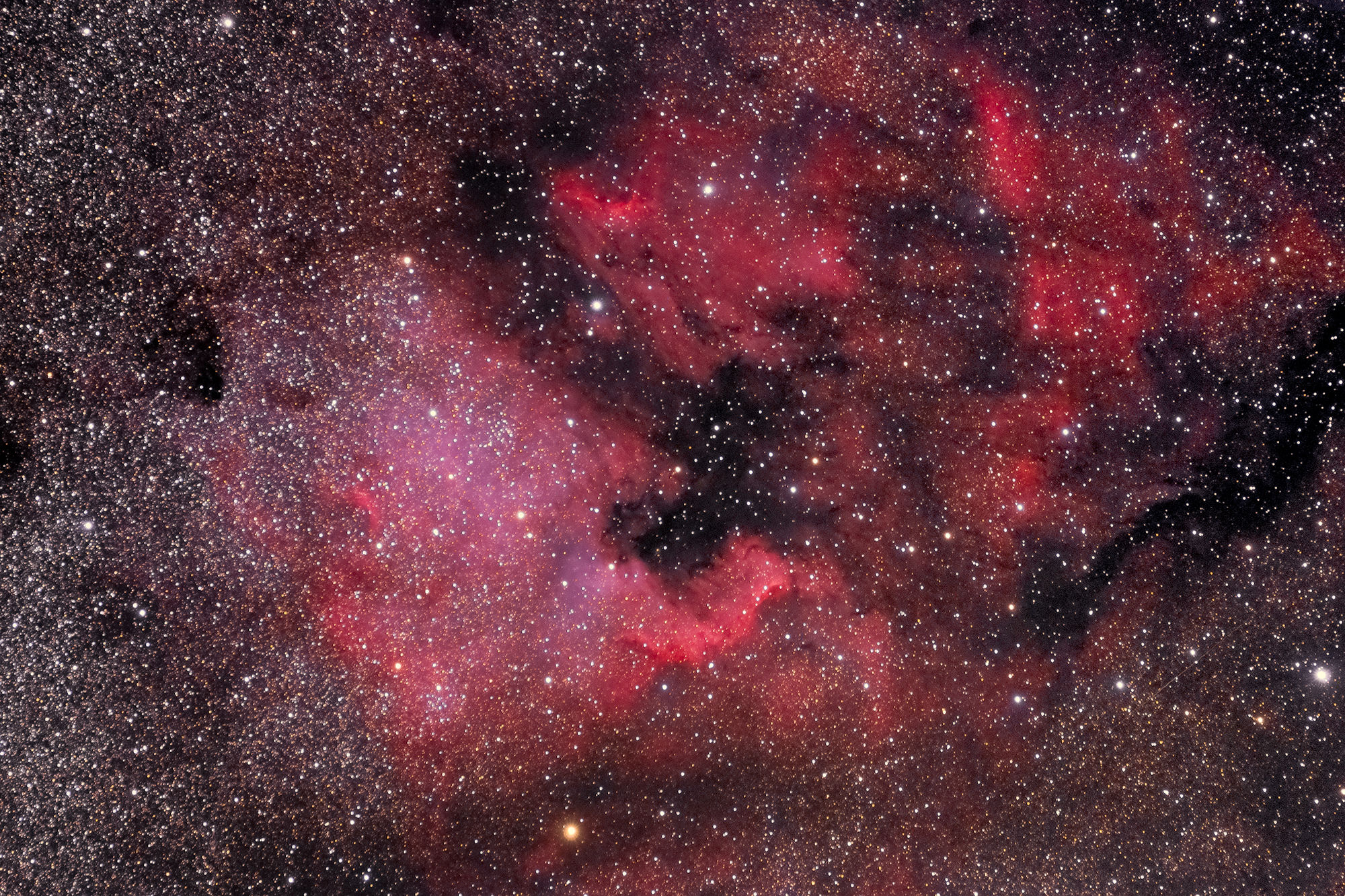 Nebulosa north america ( ngc7000 )