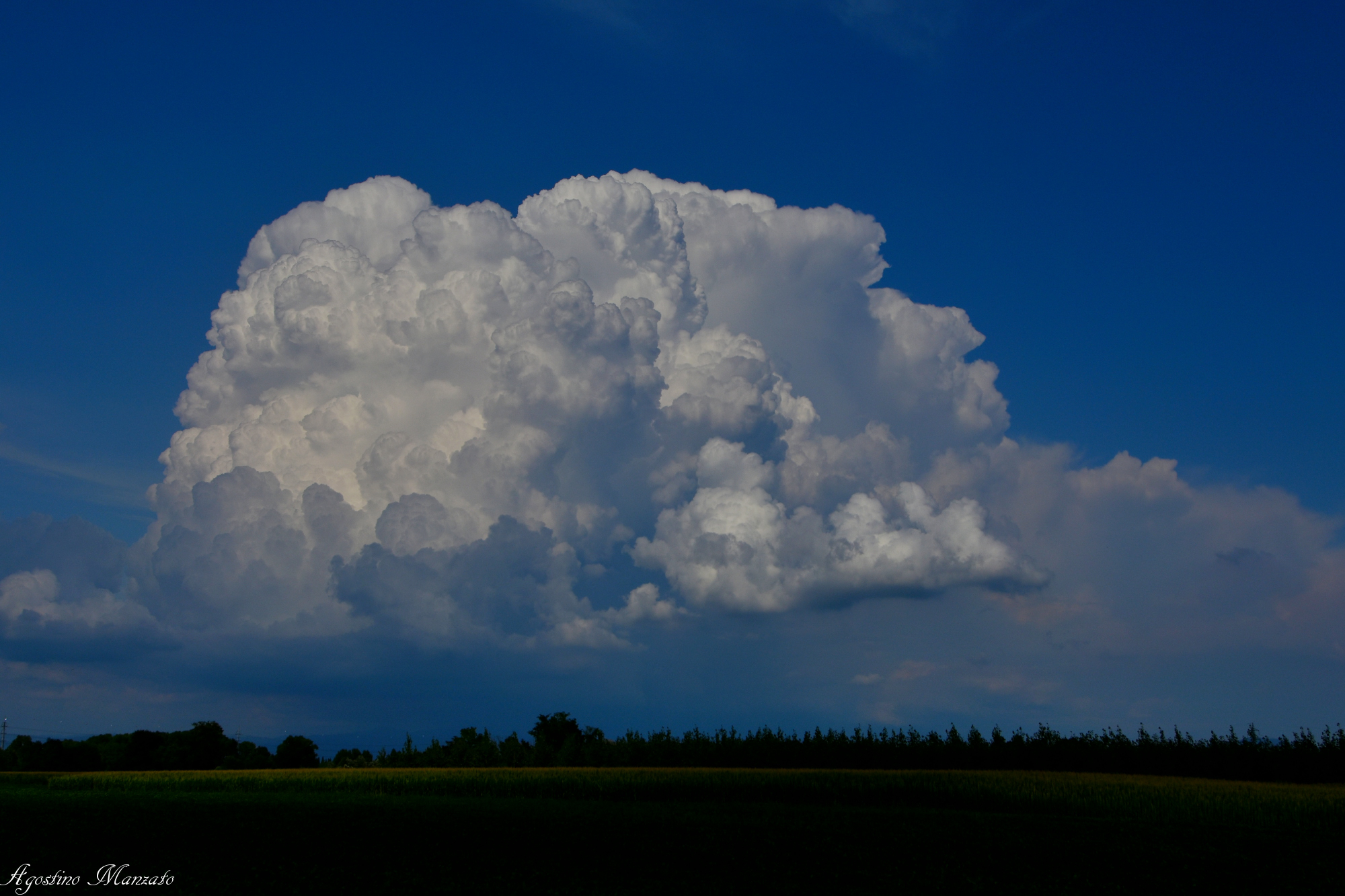 Preparing a thunderstorm over sunflowers