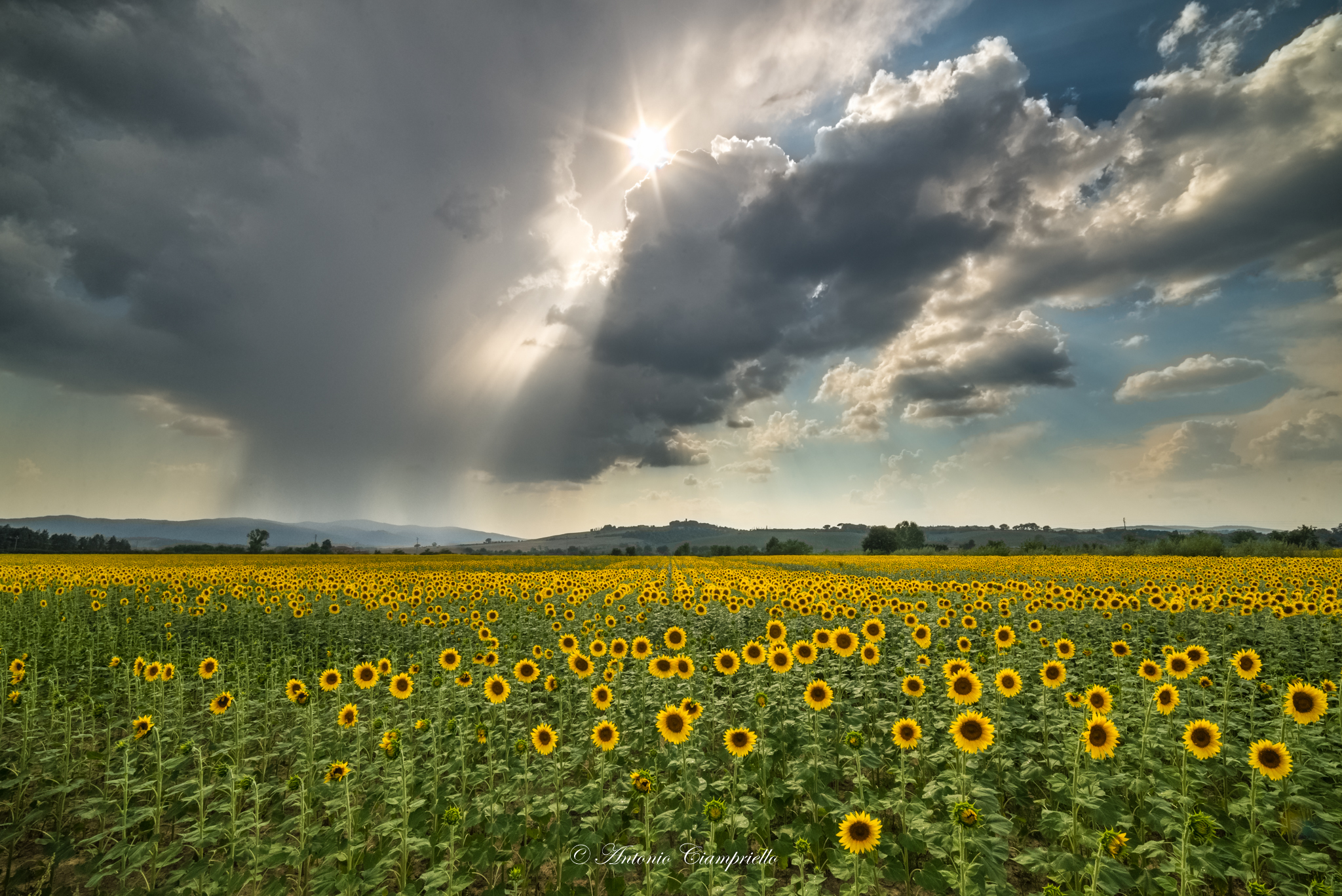 A thunderstorm arrives