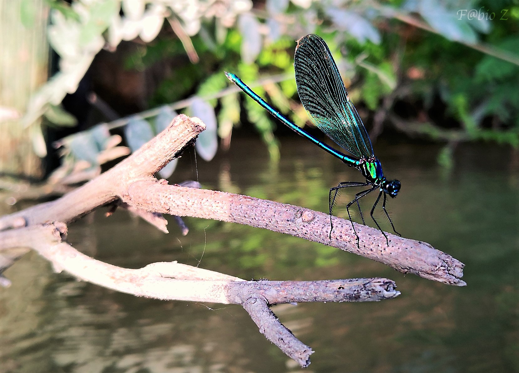 Mark at 10cm from the subject