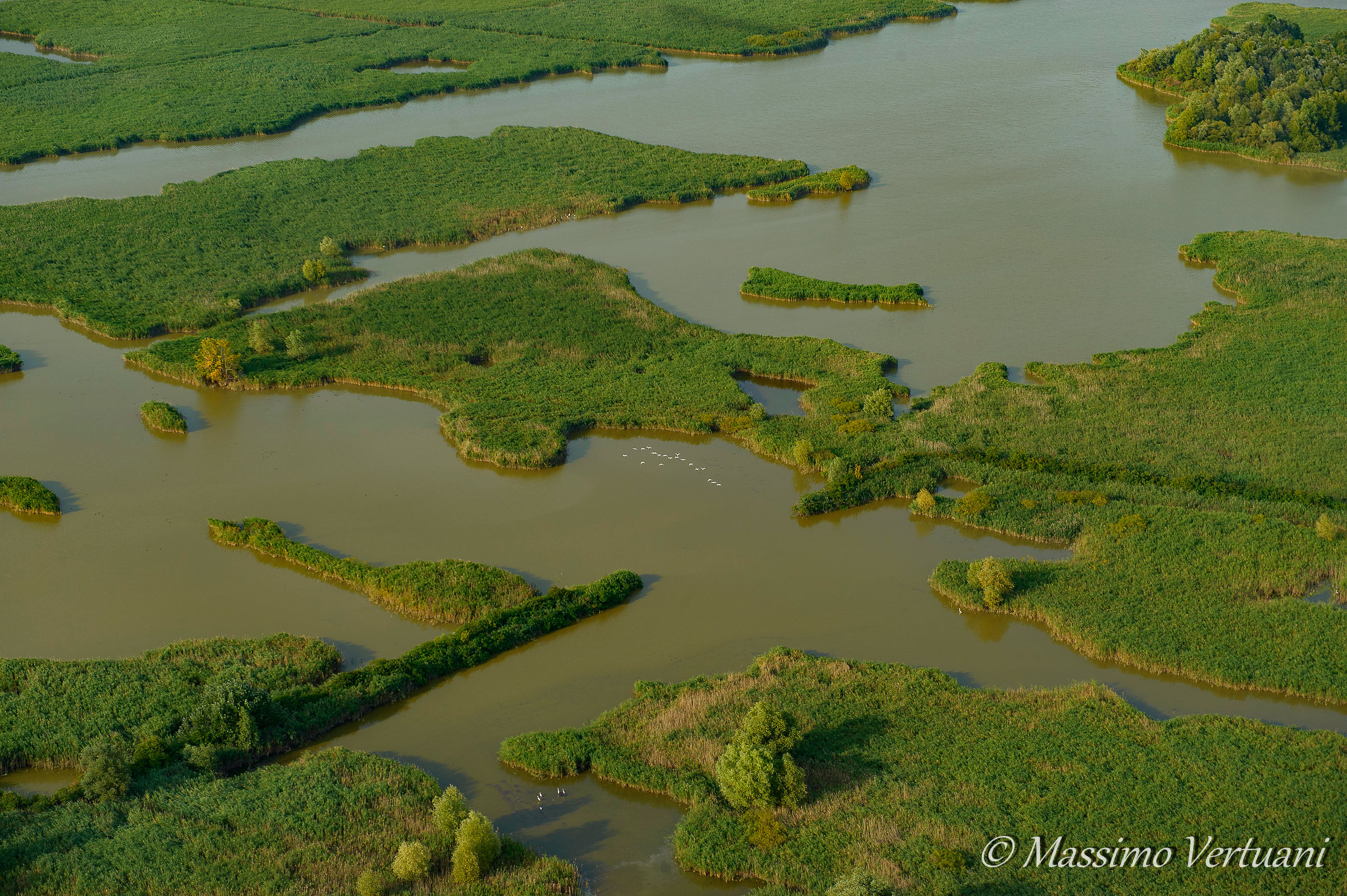 Casse di Espansione Valli di Argenta