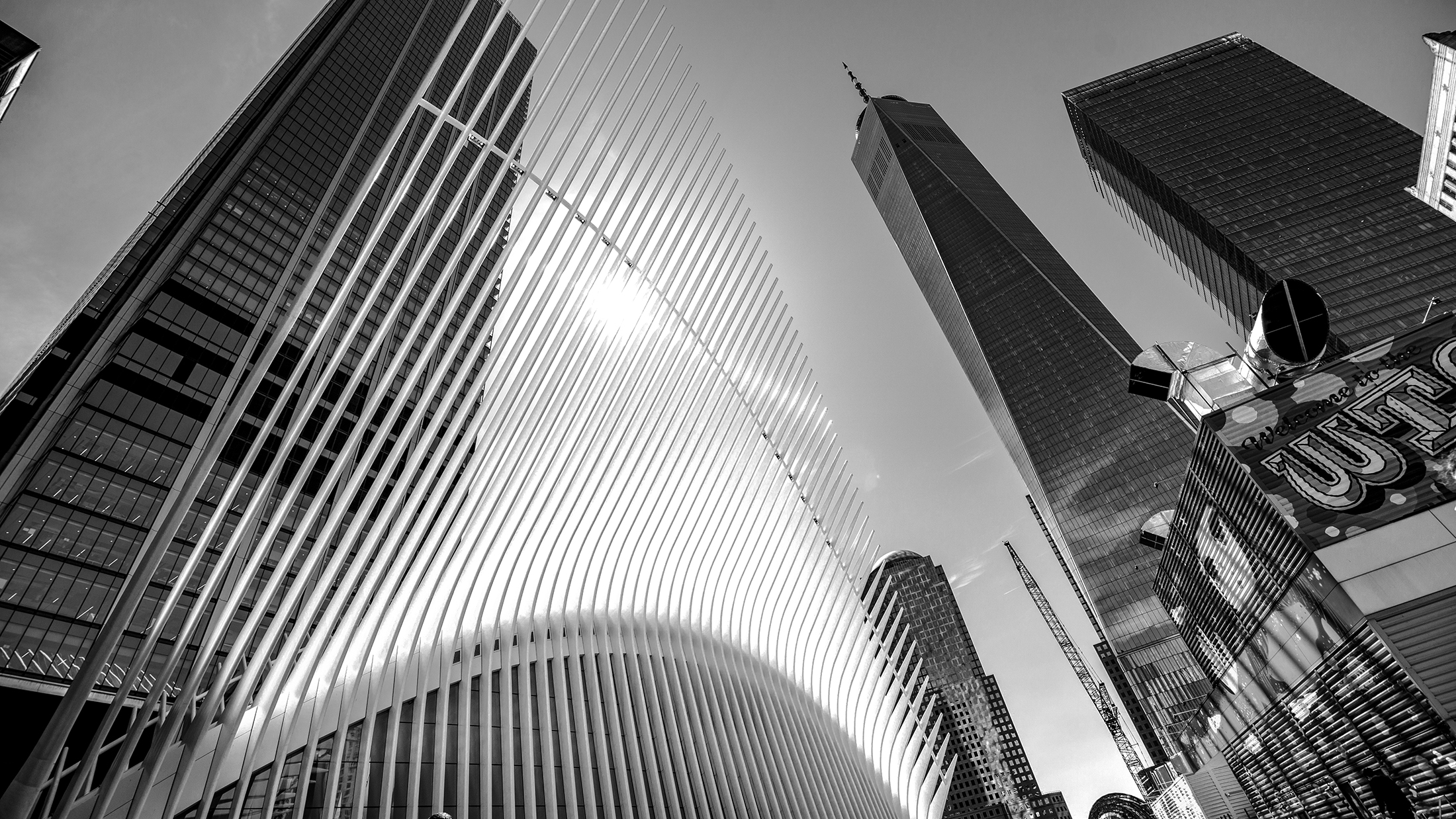 1wtc
