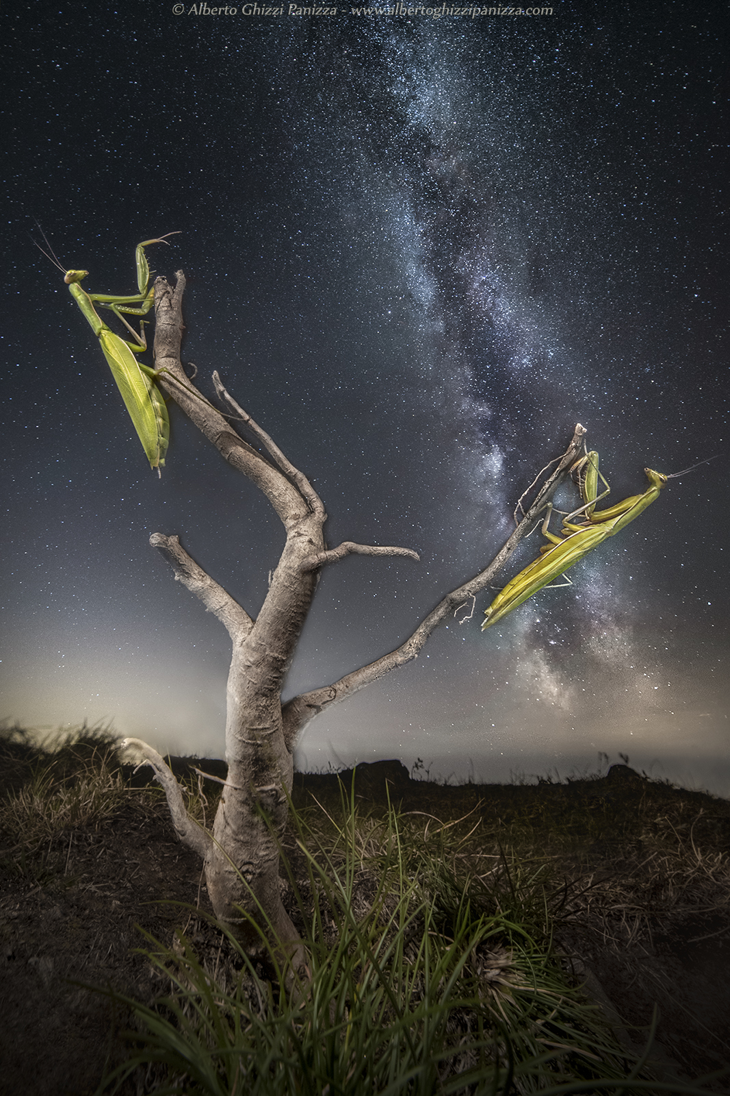 "Do you know that we are star dust too?"