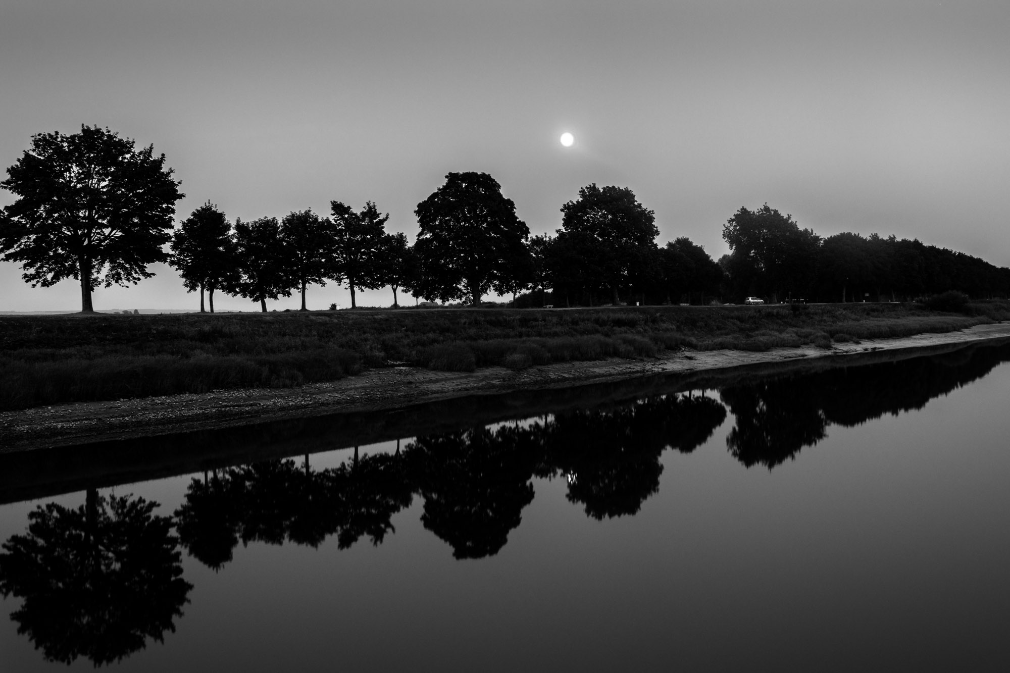 Filare lungo il canale