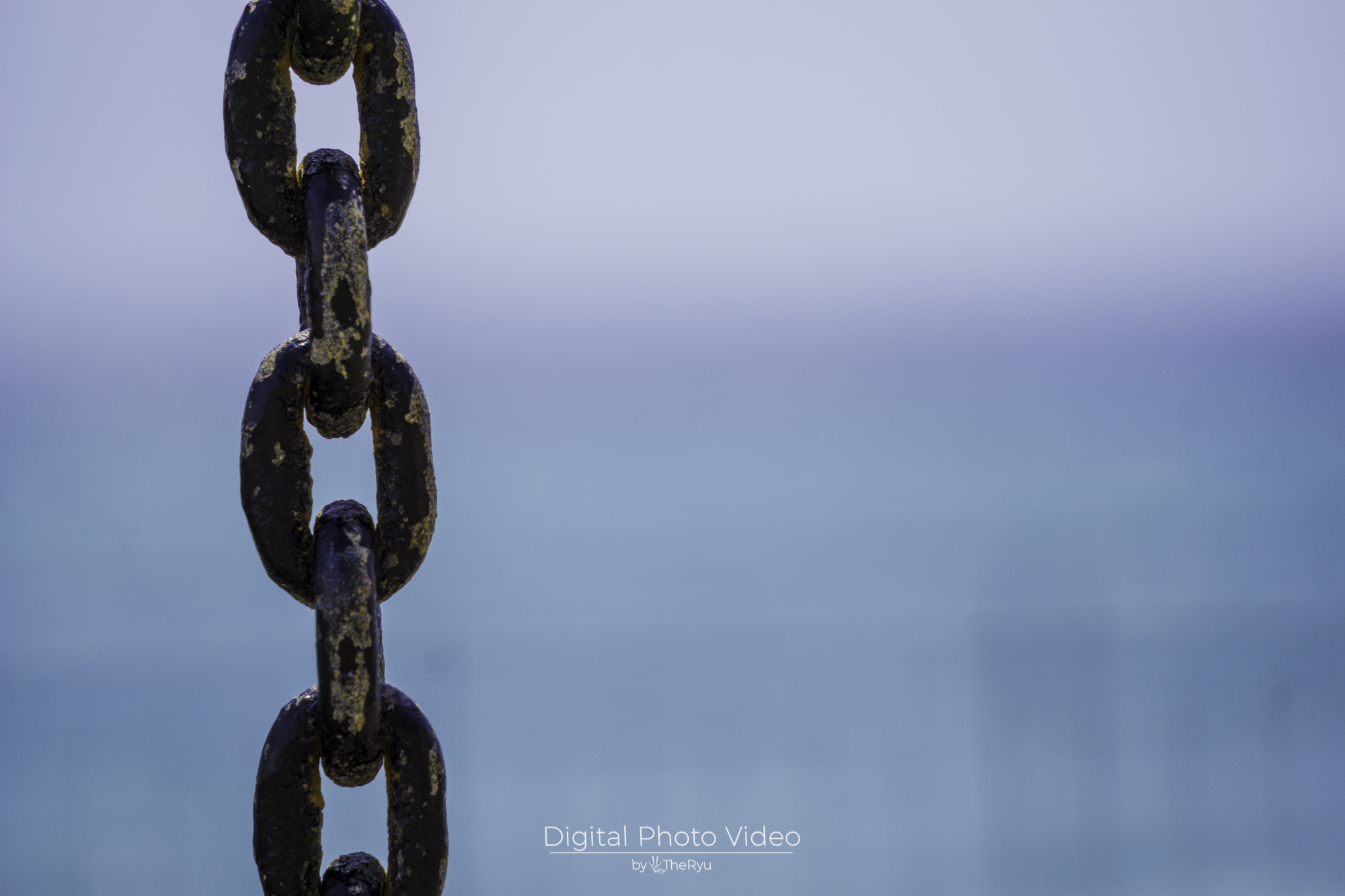 Alghero Sardegna Dettagli  Alghero