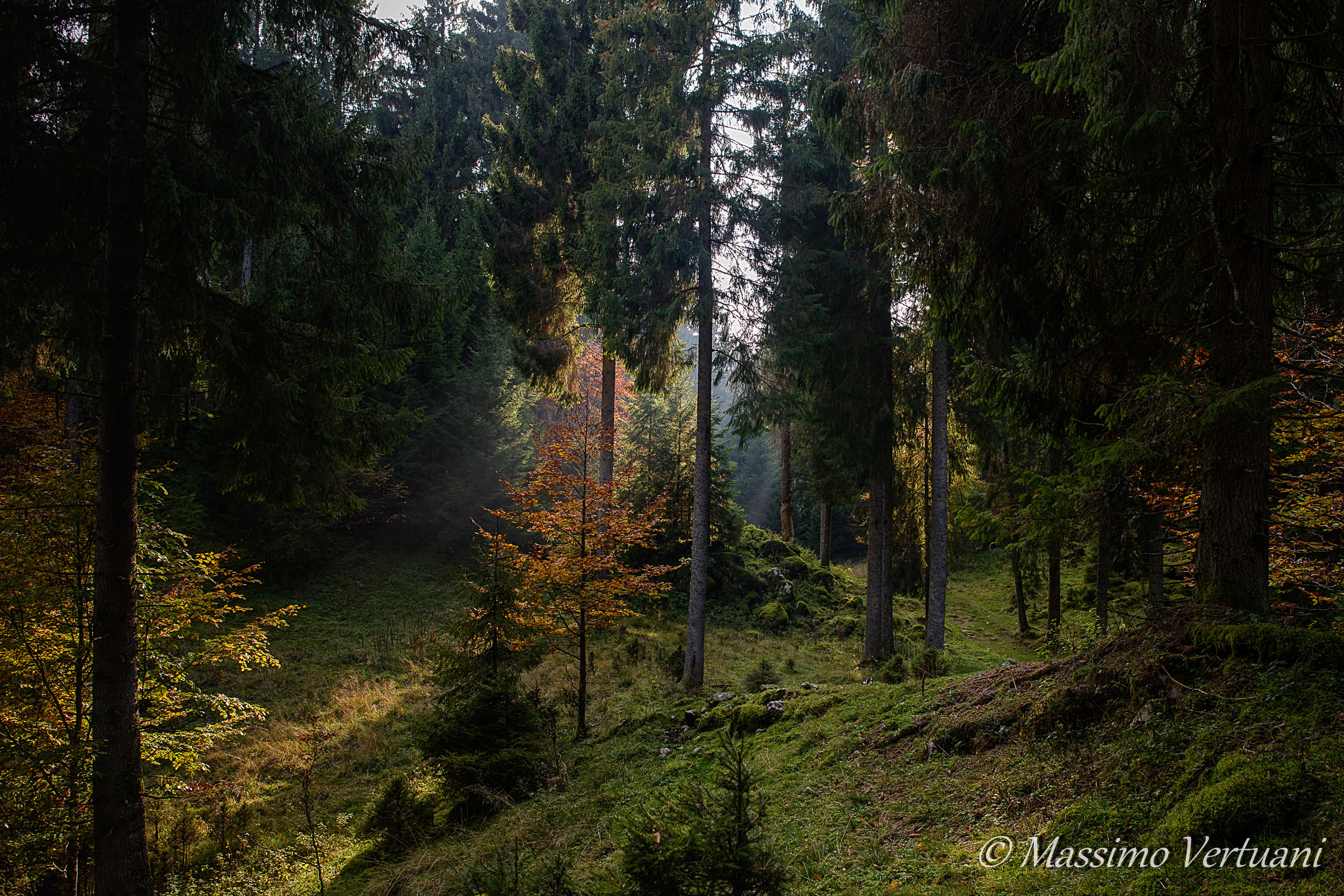 i colori dell' autunno